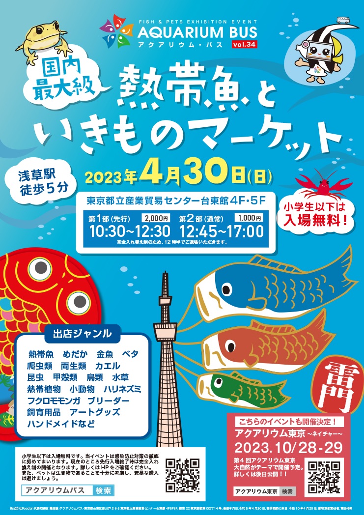 f:id:popopoppun:20230424234942j:image