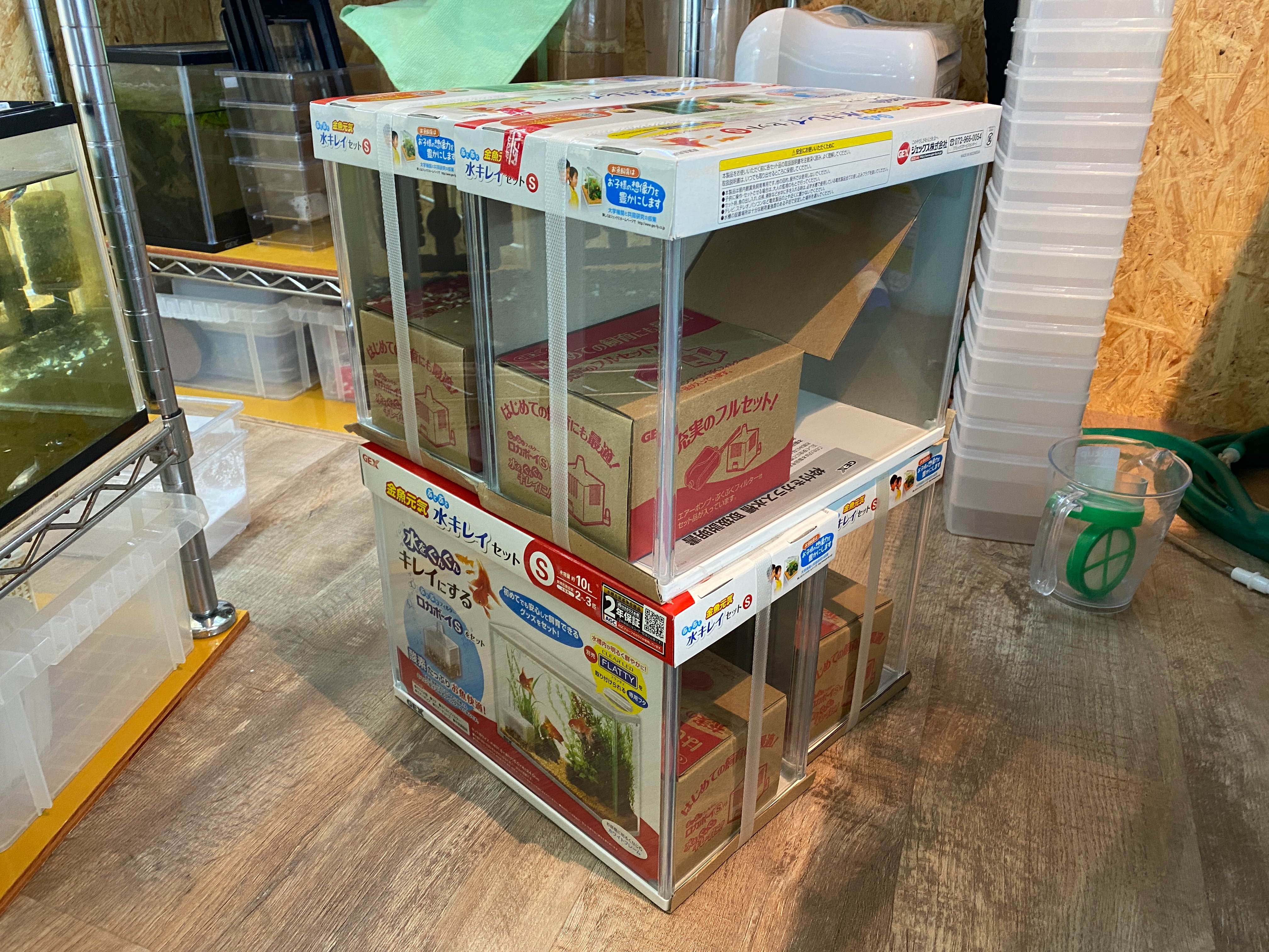 f:id:popopoppun:20230427001431j:image