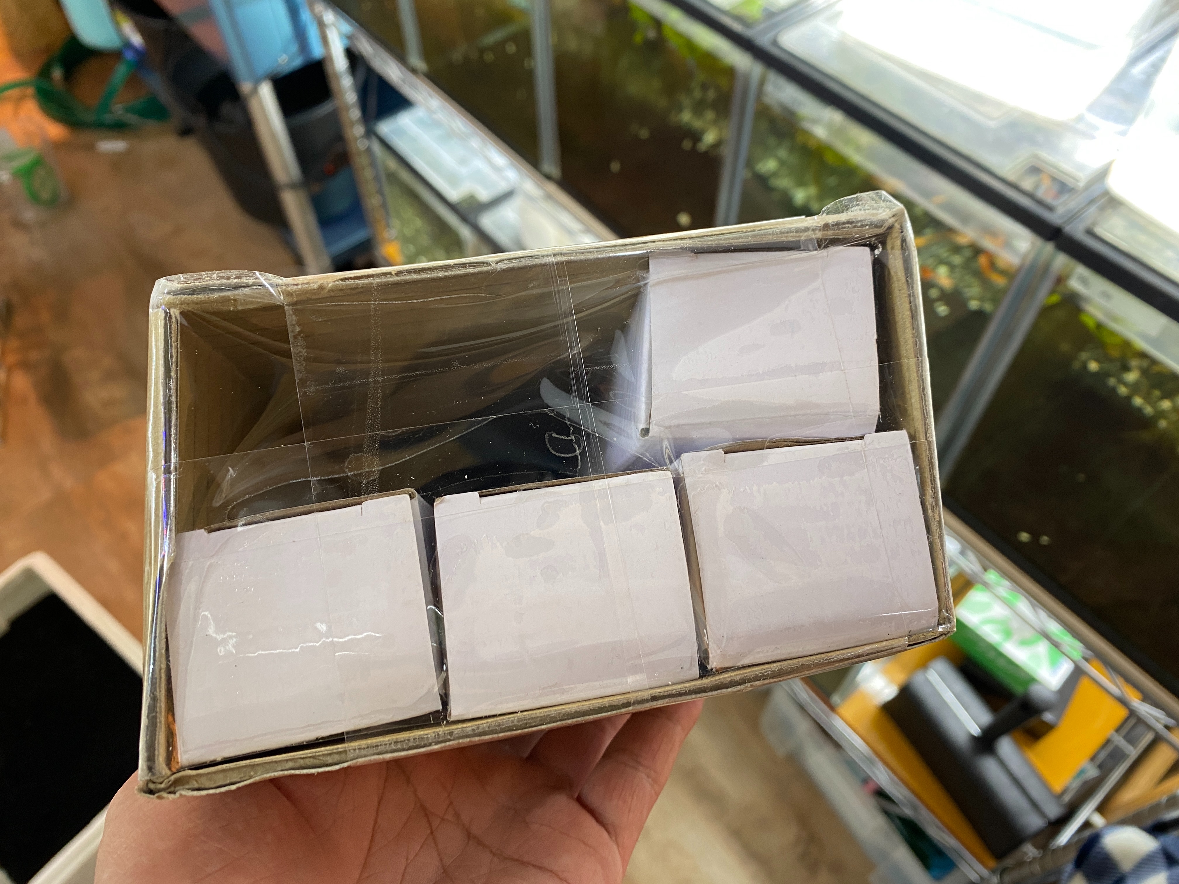 f:id:popopoppun:20230427001440j:image