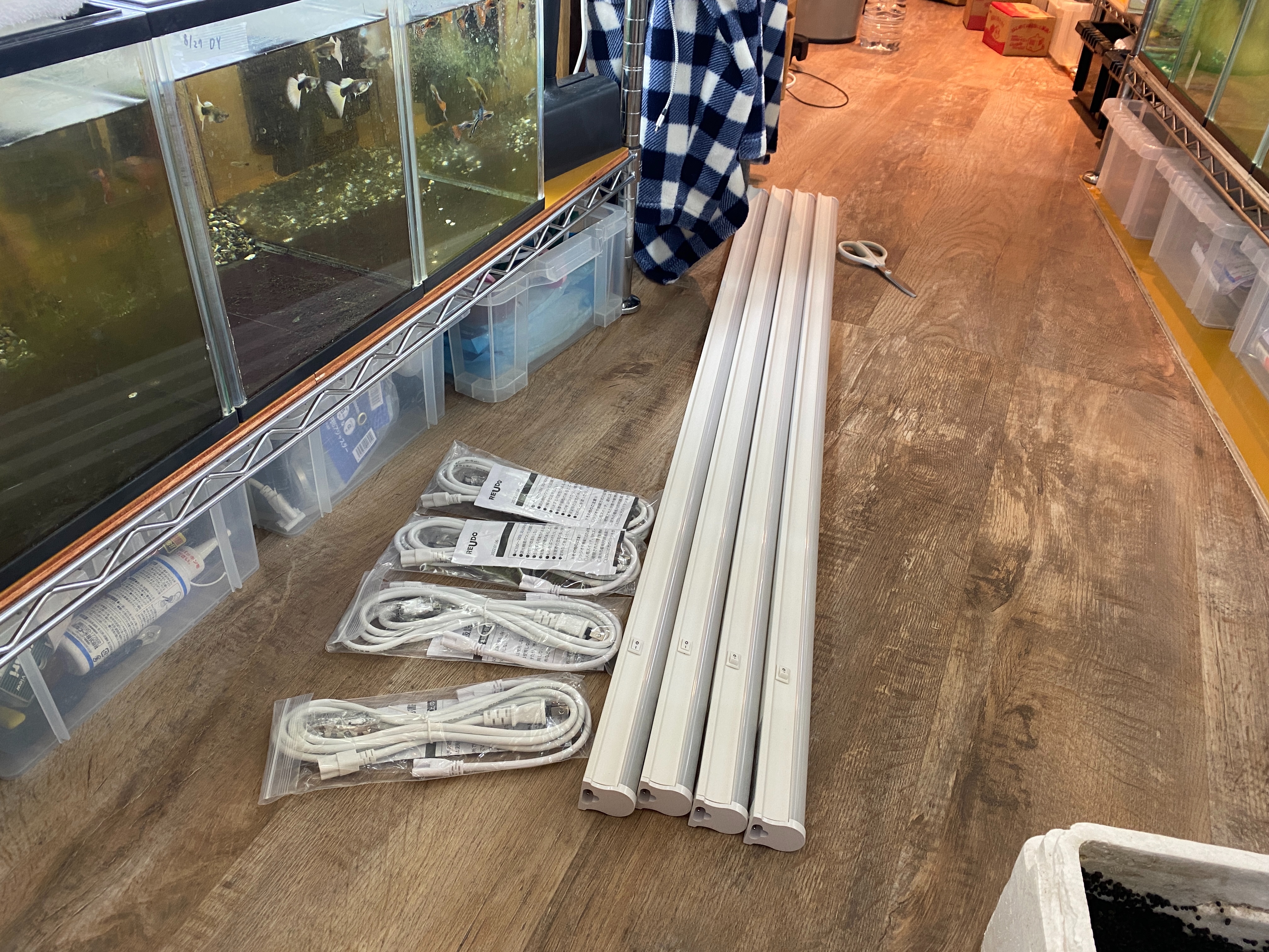 f:id:popopoppun:20230427002331j:image