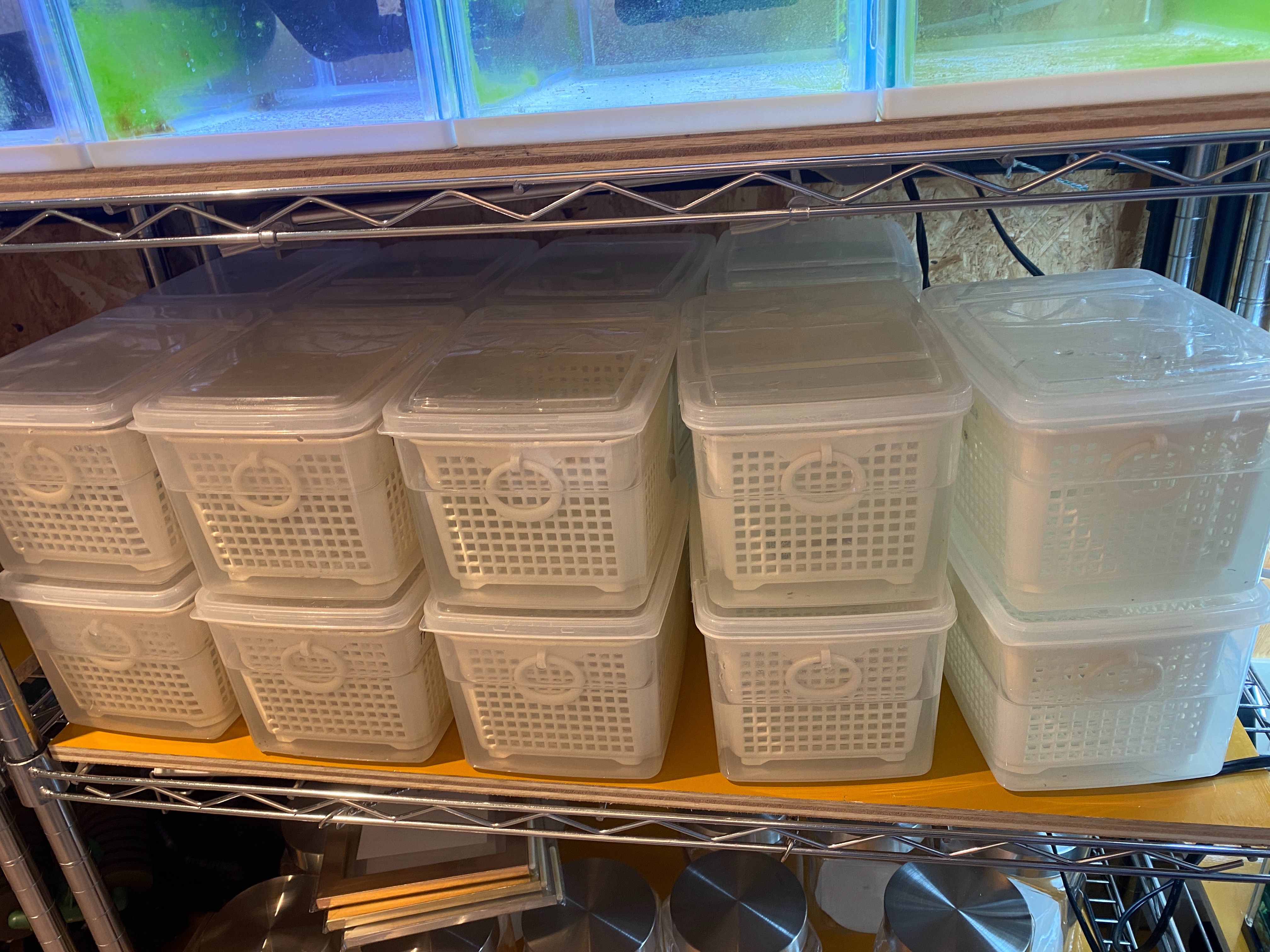 f:id:popopoppun:20230427002659j:image