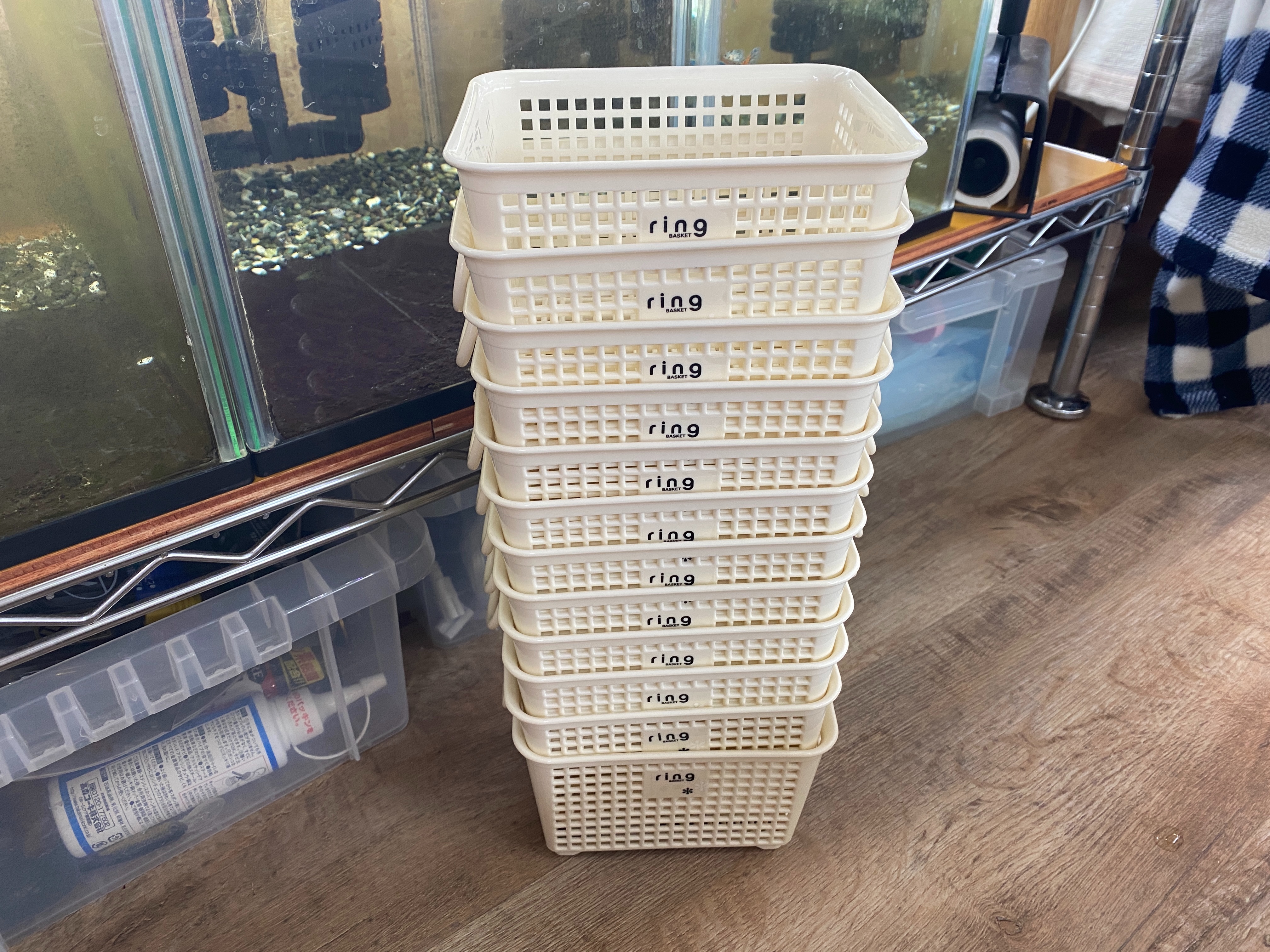 f:id:popopoppun:20230427032239j:image