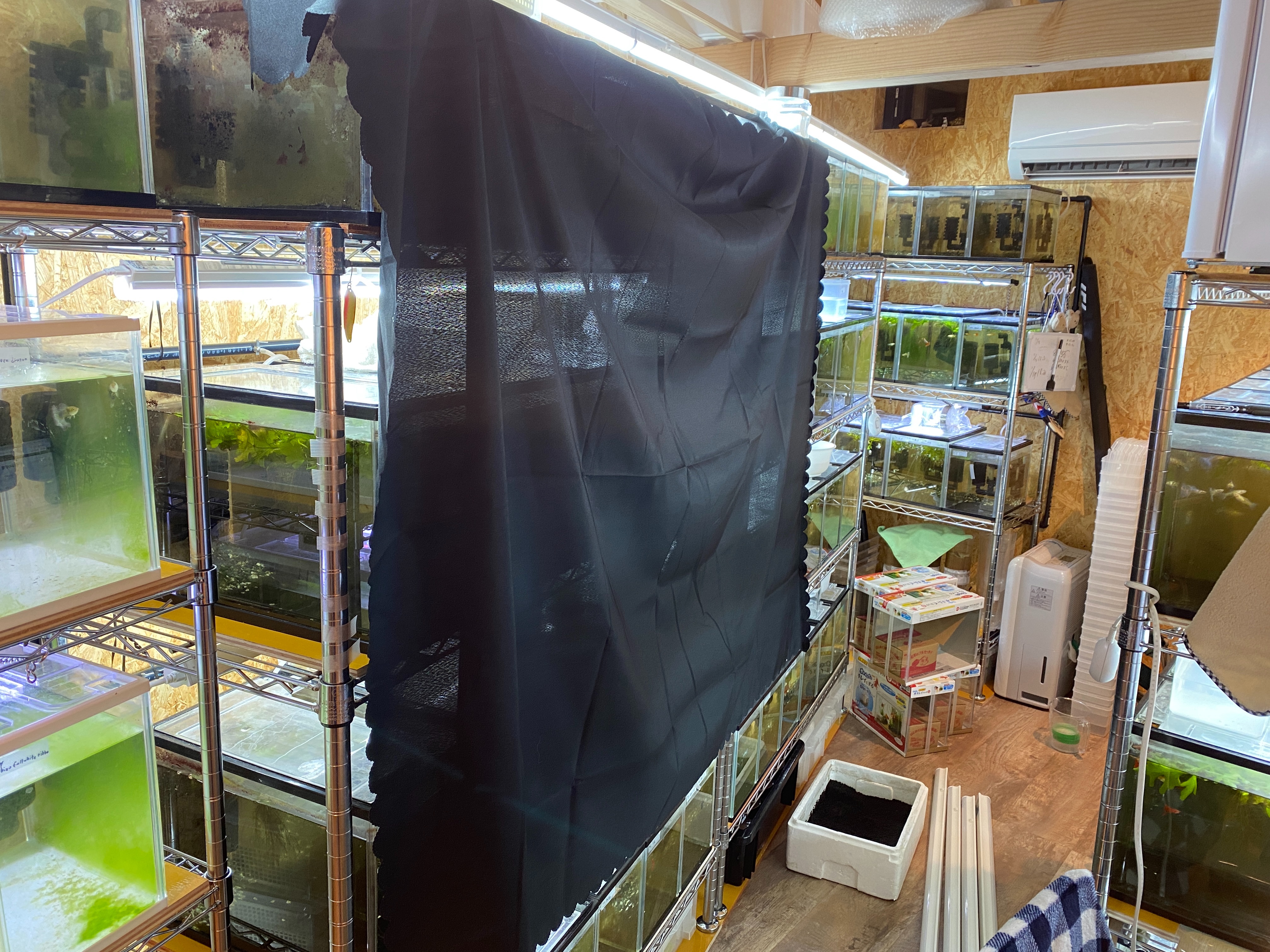 f:id:popopoppun:20230427035457j:image