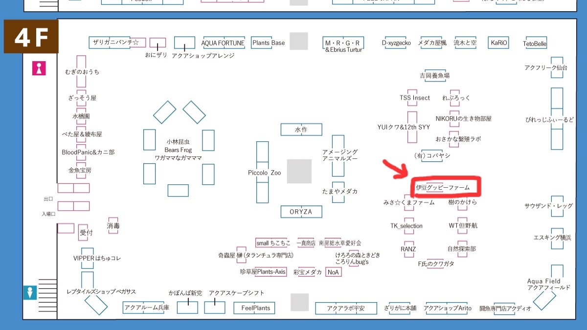 f:id:popopoppun:20230427230902j:image