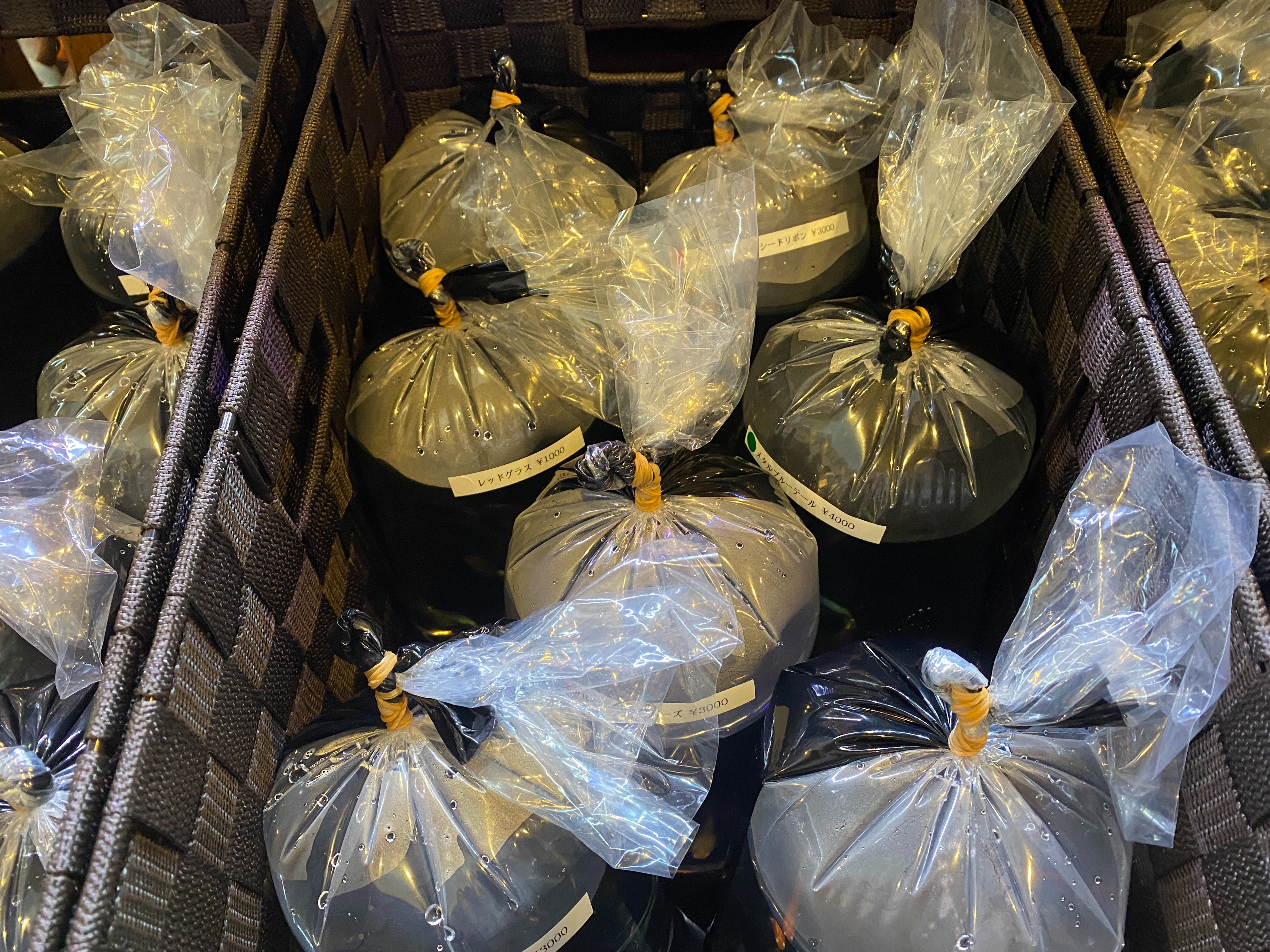 f:id:popopoppun:20230429192542j:image