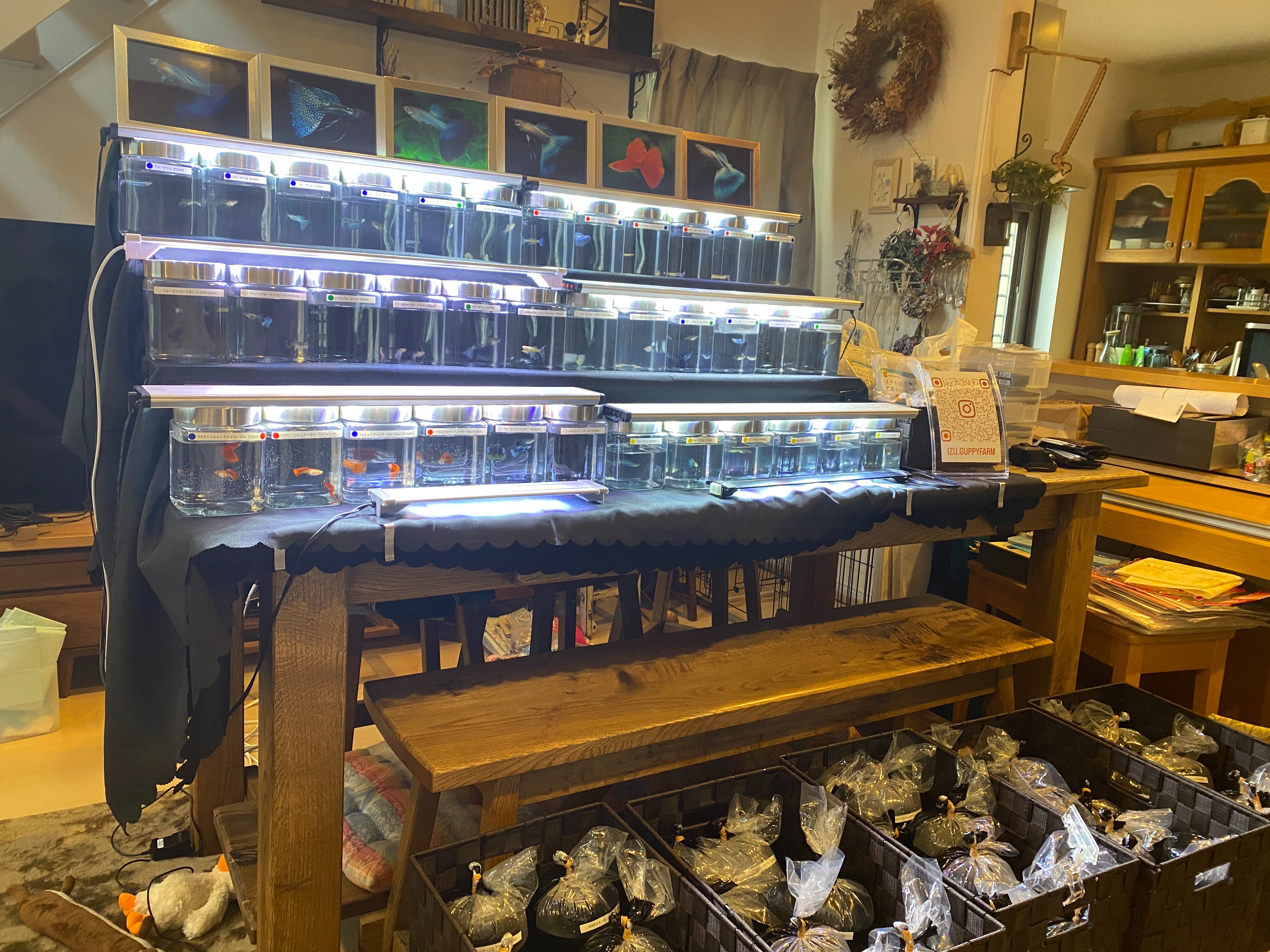 f:id:popopoppun:20230429192550j:image