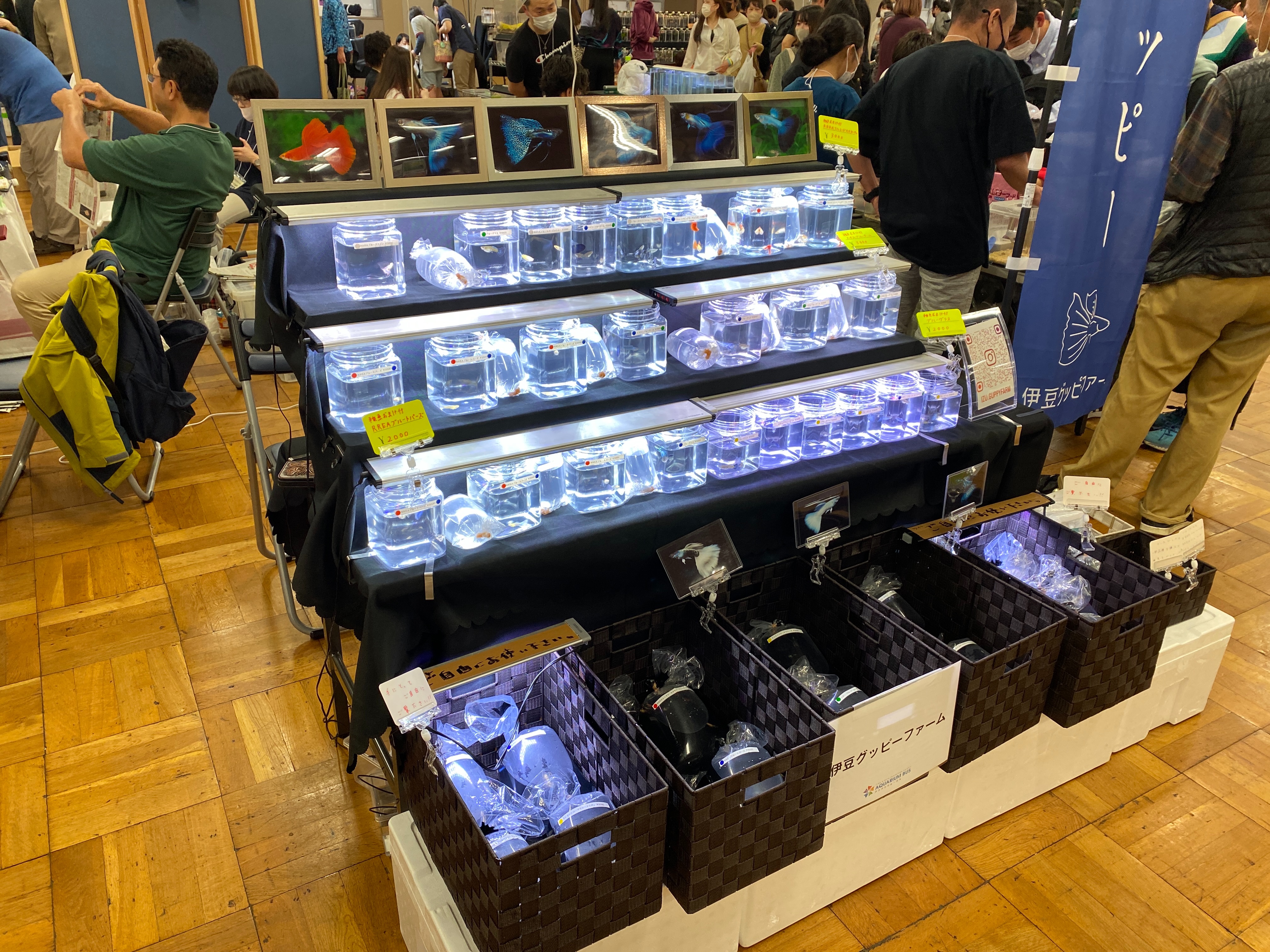 f:id:popopoppun:20230430191708j:image