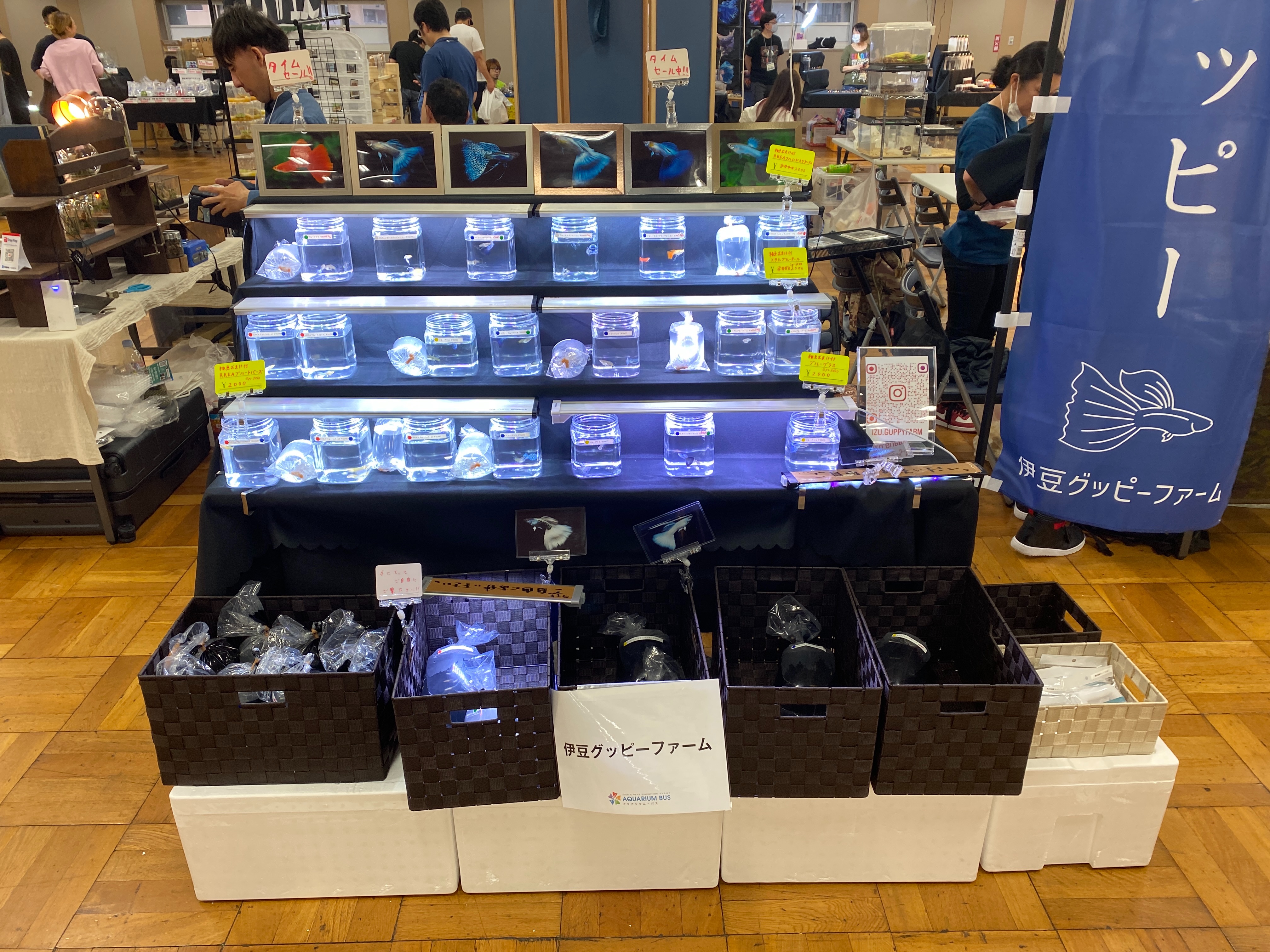 f:id:popopoppun:20230430191726j:image