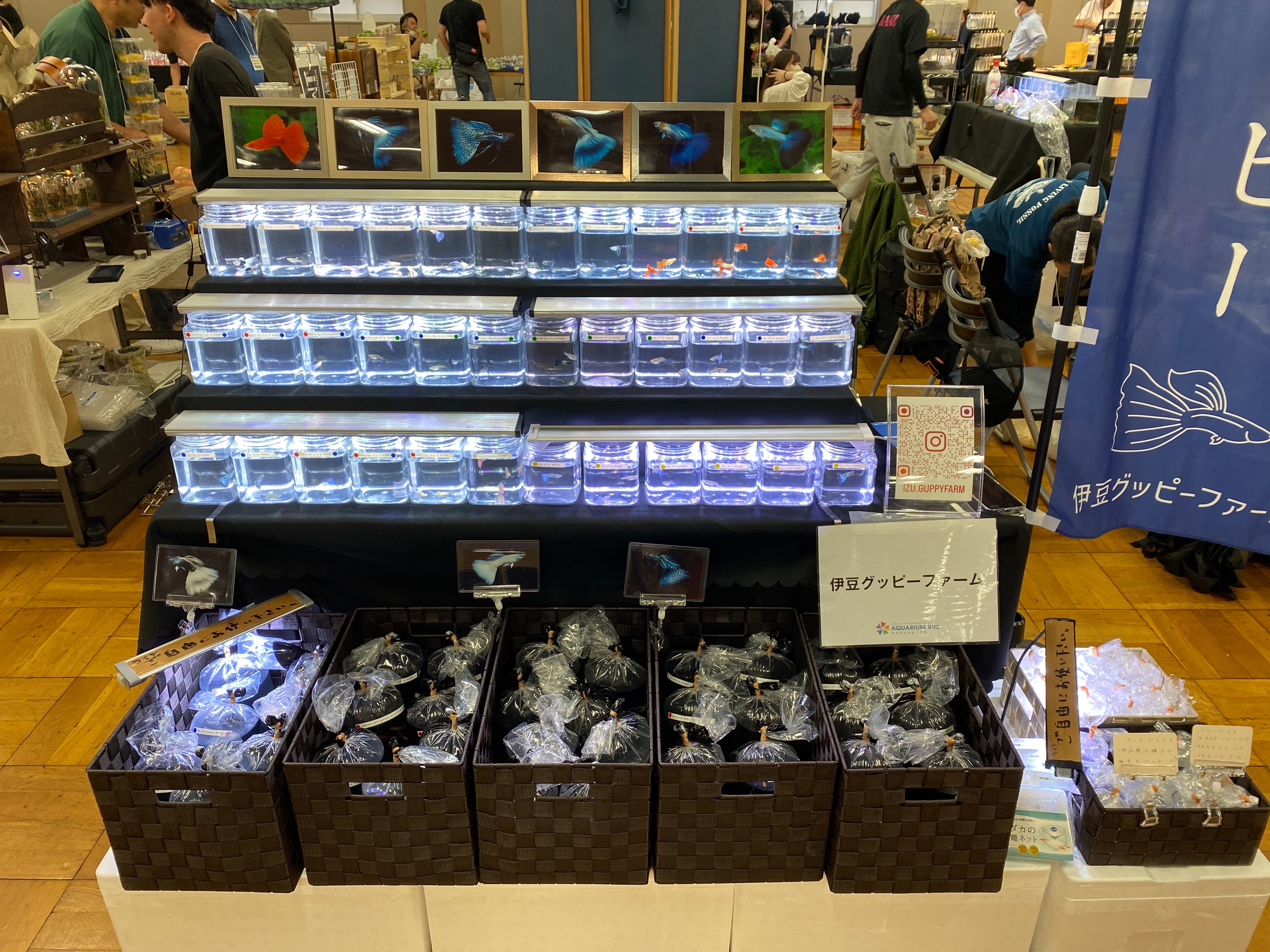 f:id:popopoppun:20230430191734j:image