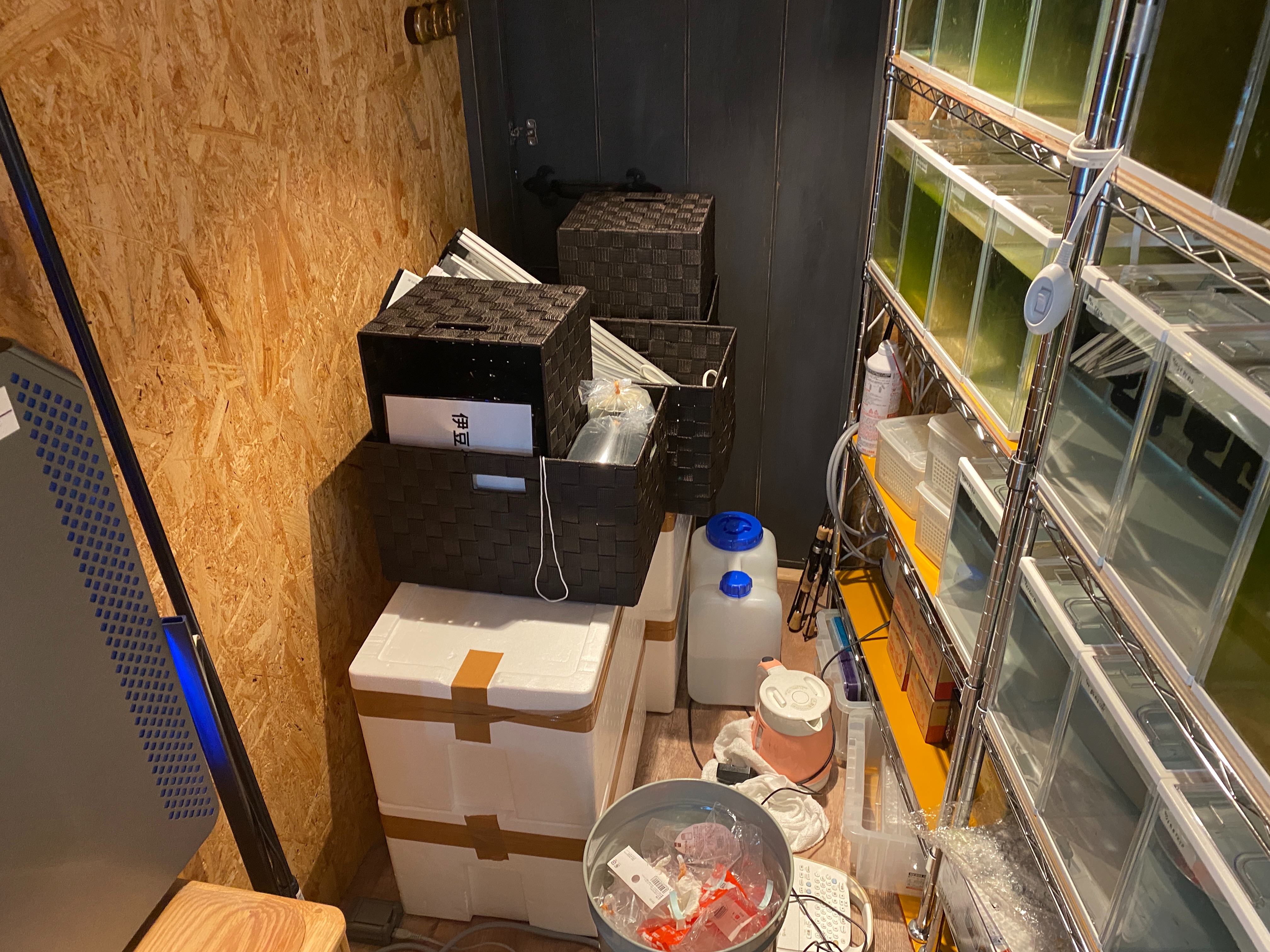 f:id:popopoppun:20230505083432j:image