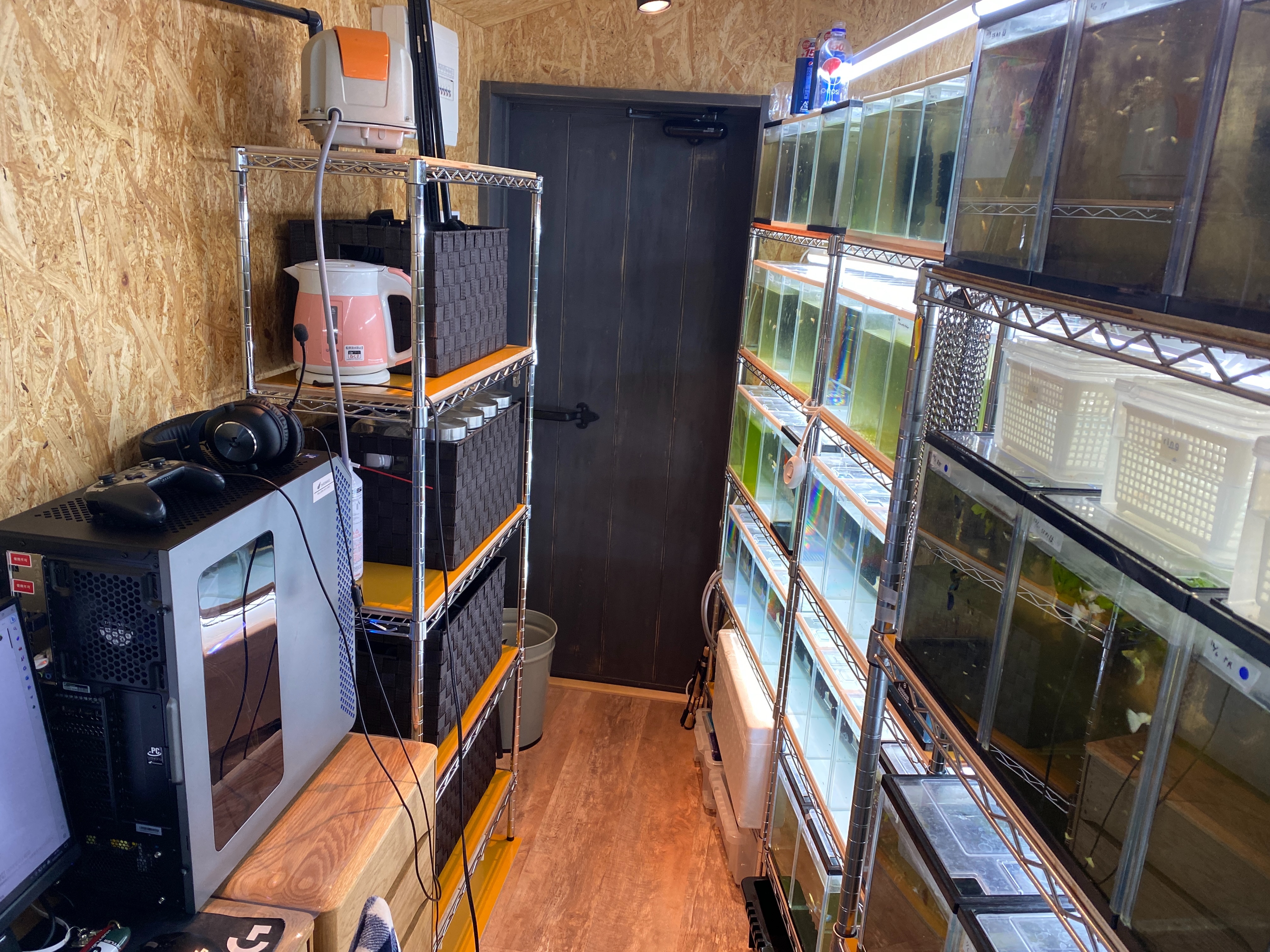 f:id:popopoppun:20230505083629j:image