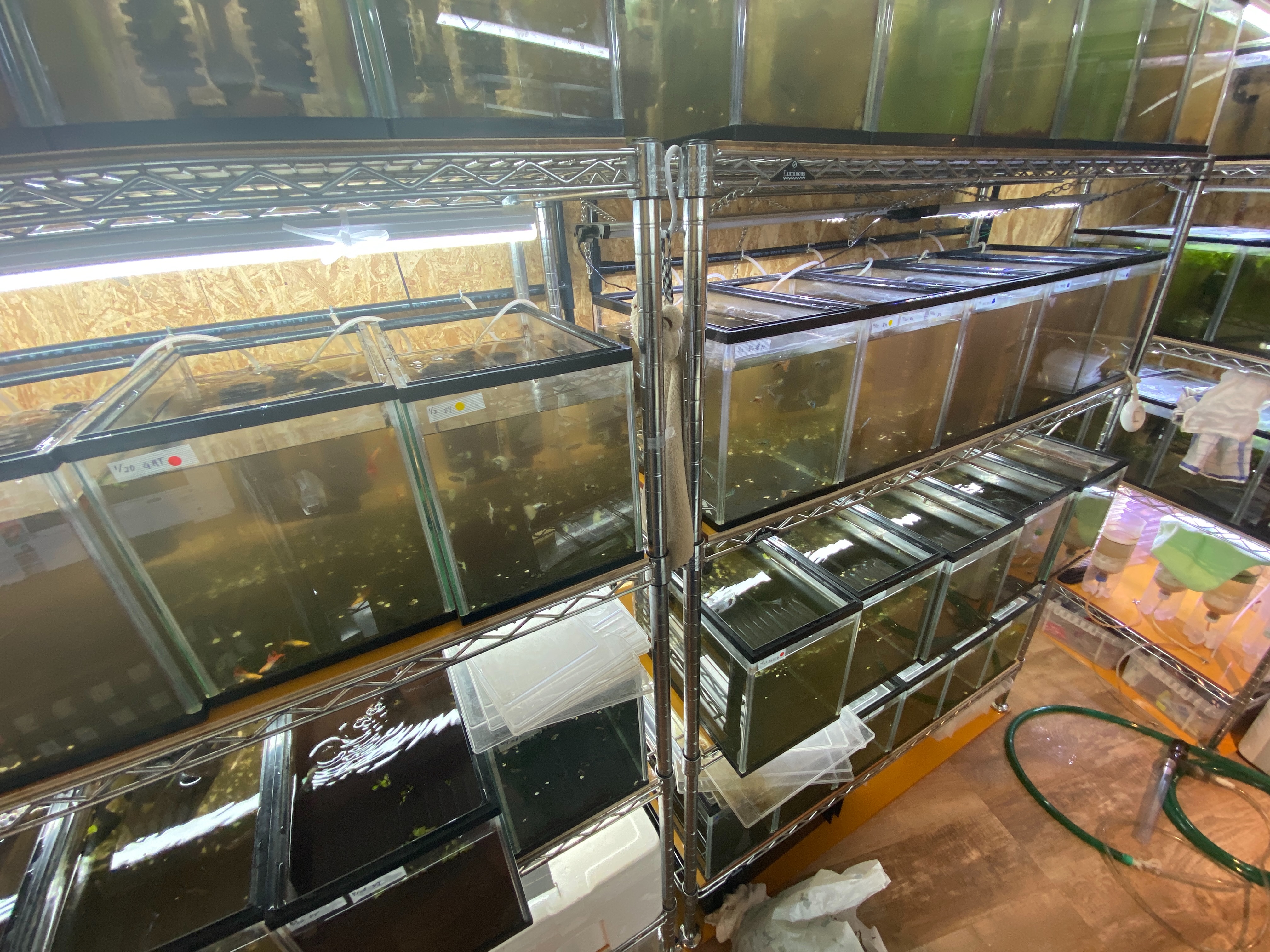 f:id:popopoppun:20230505083706j:image