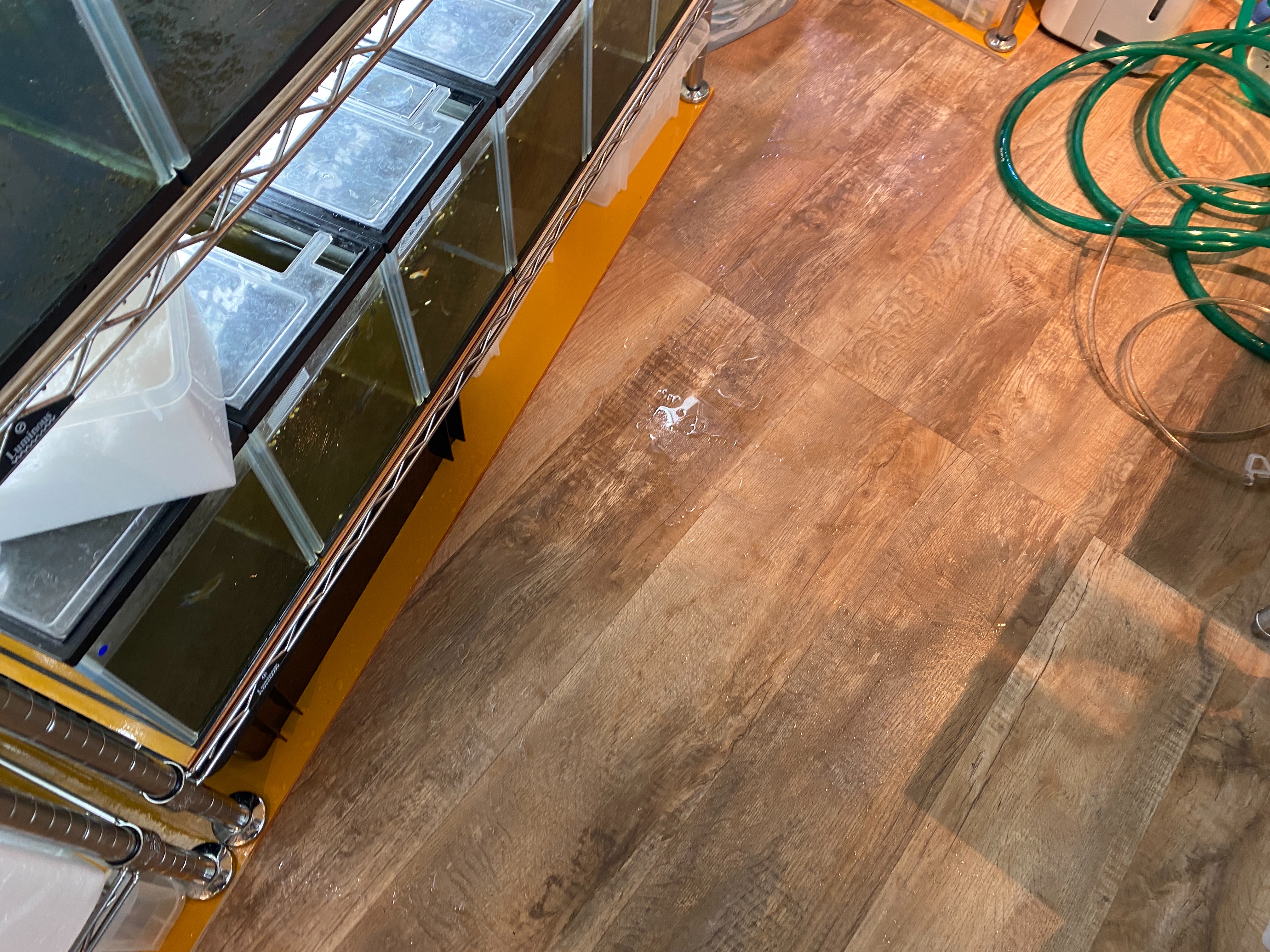 f:id:popopoppun:20230505083800j:image