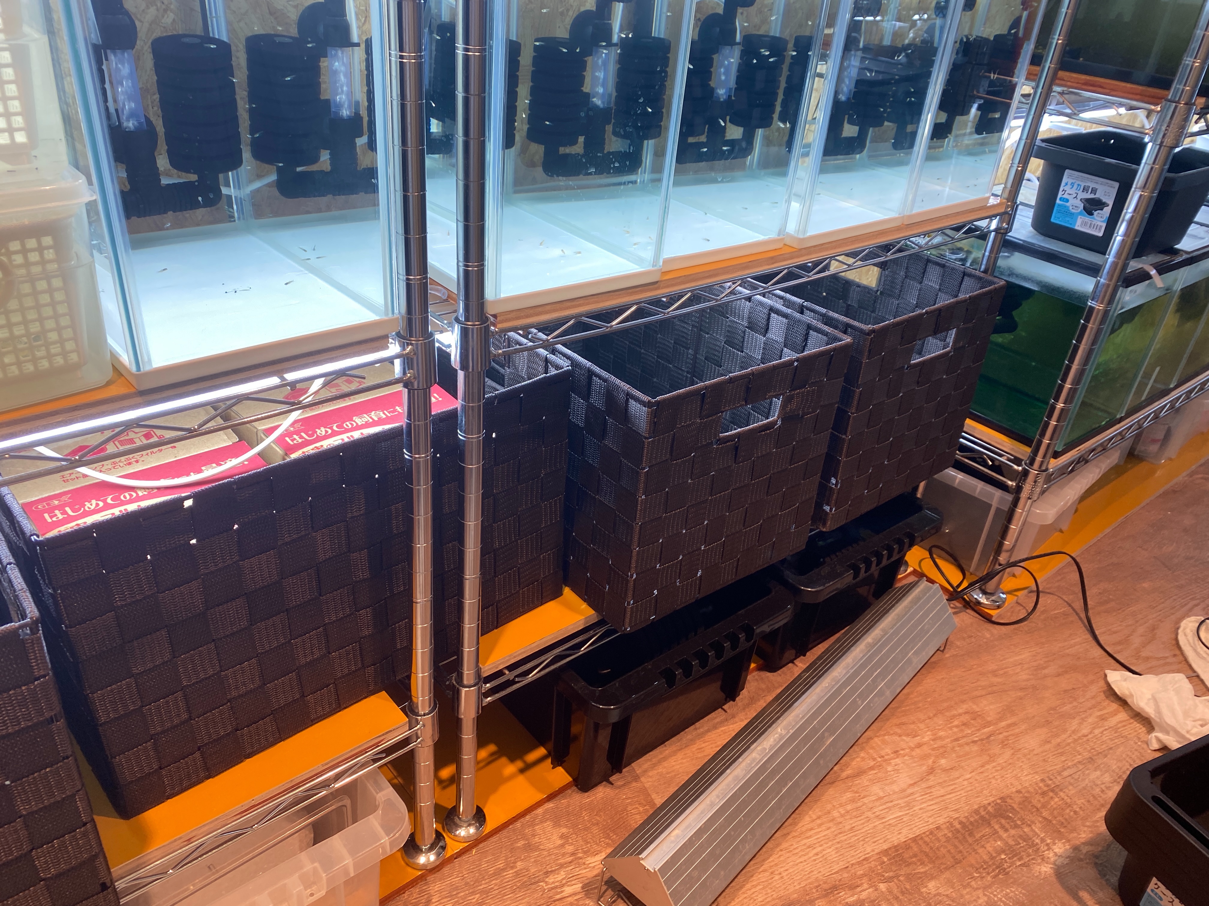 f:id:popopoppun:20230505083846j:image