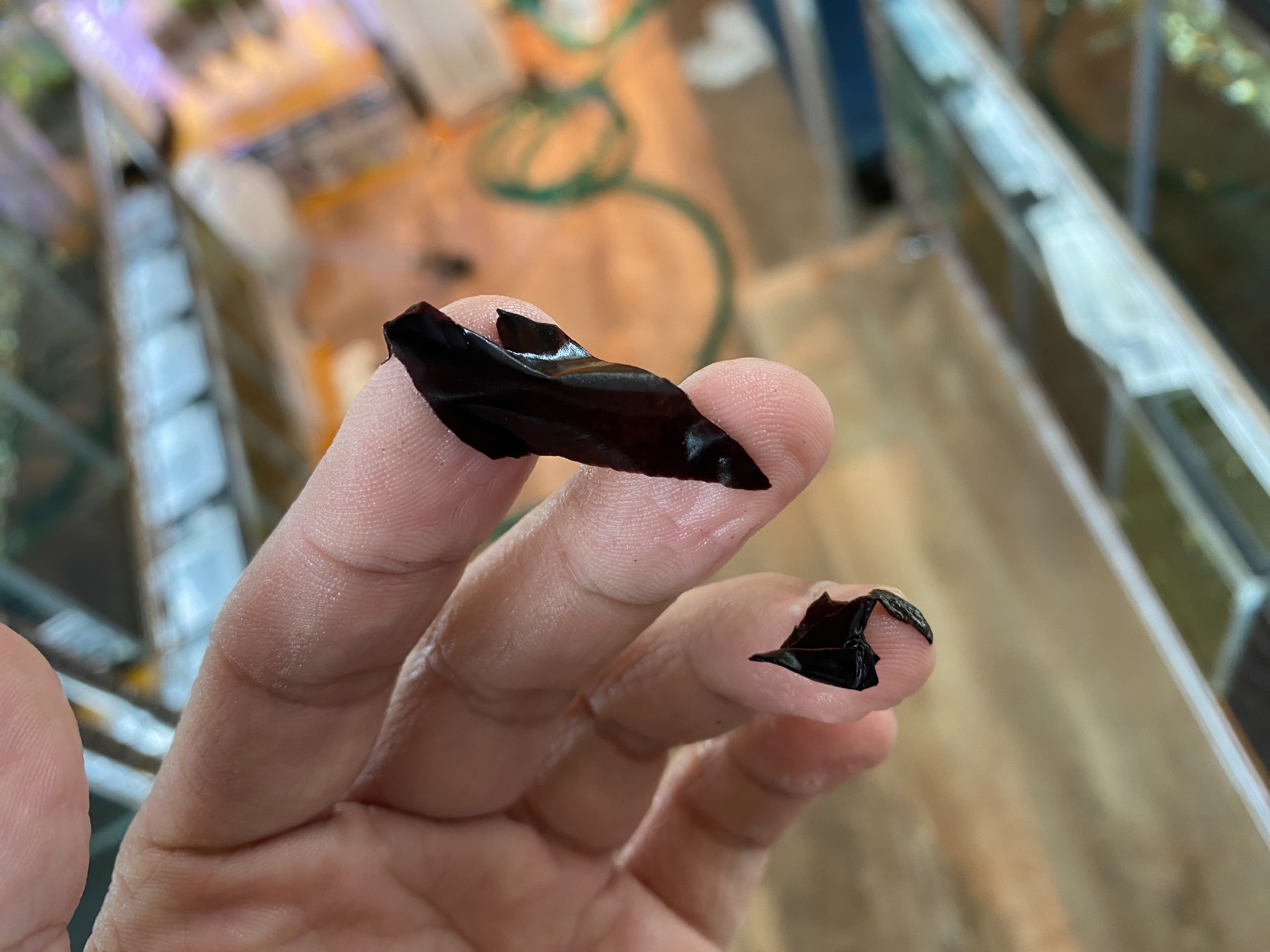 f:id:popopoppun:20230505084016j:image