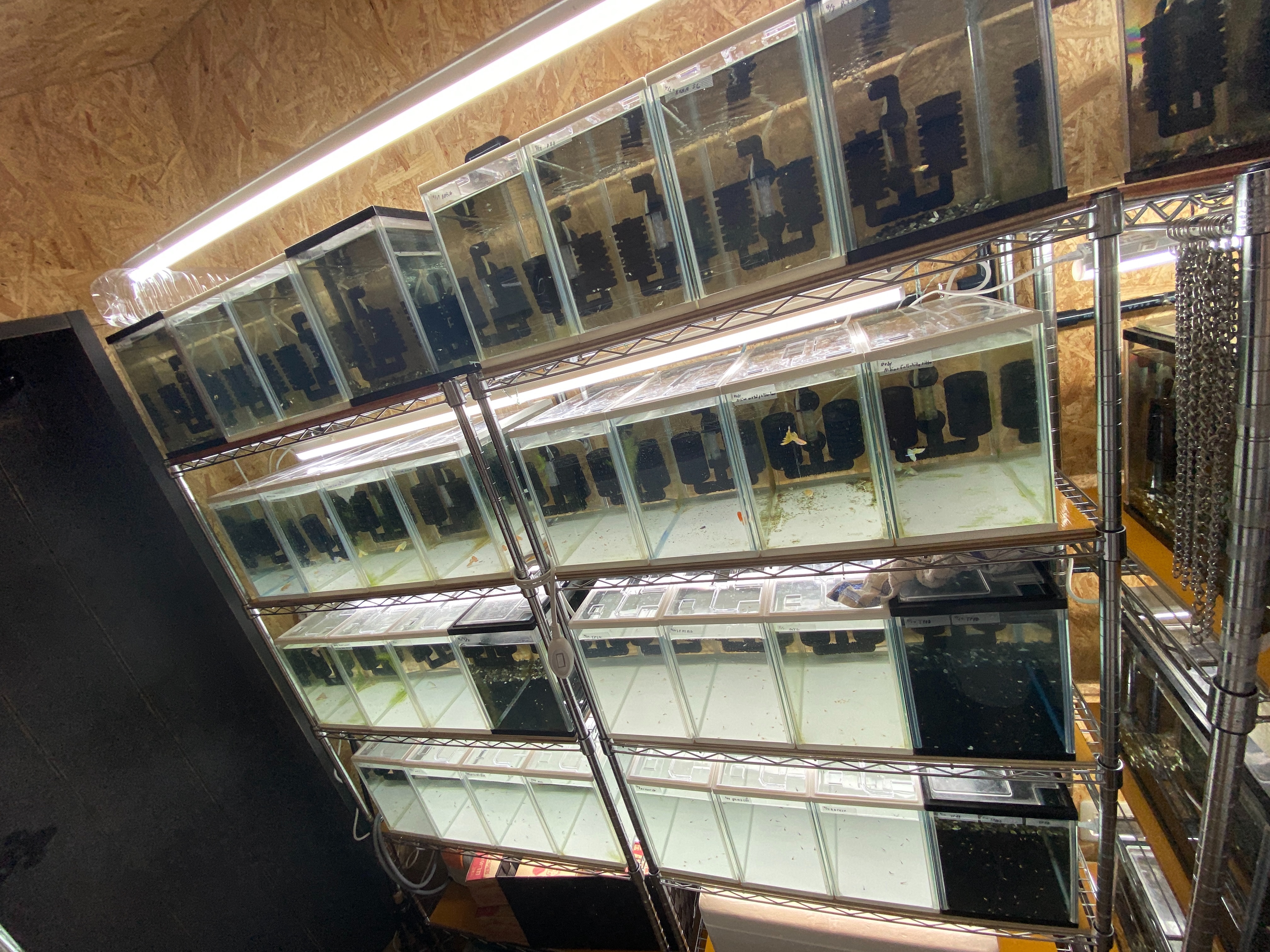 f:id:popopoppun:20230505084045j:image