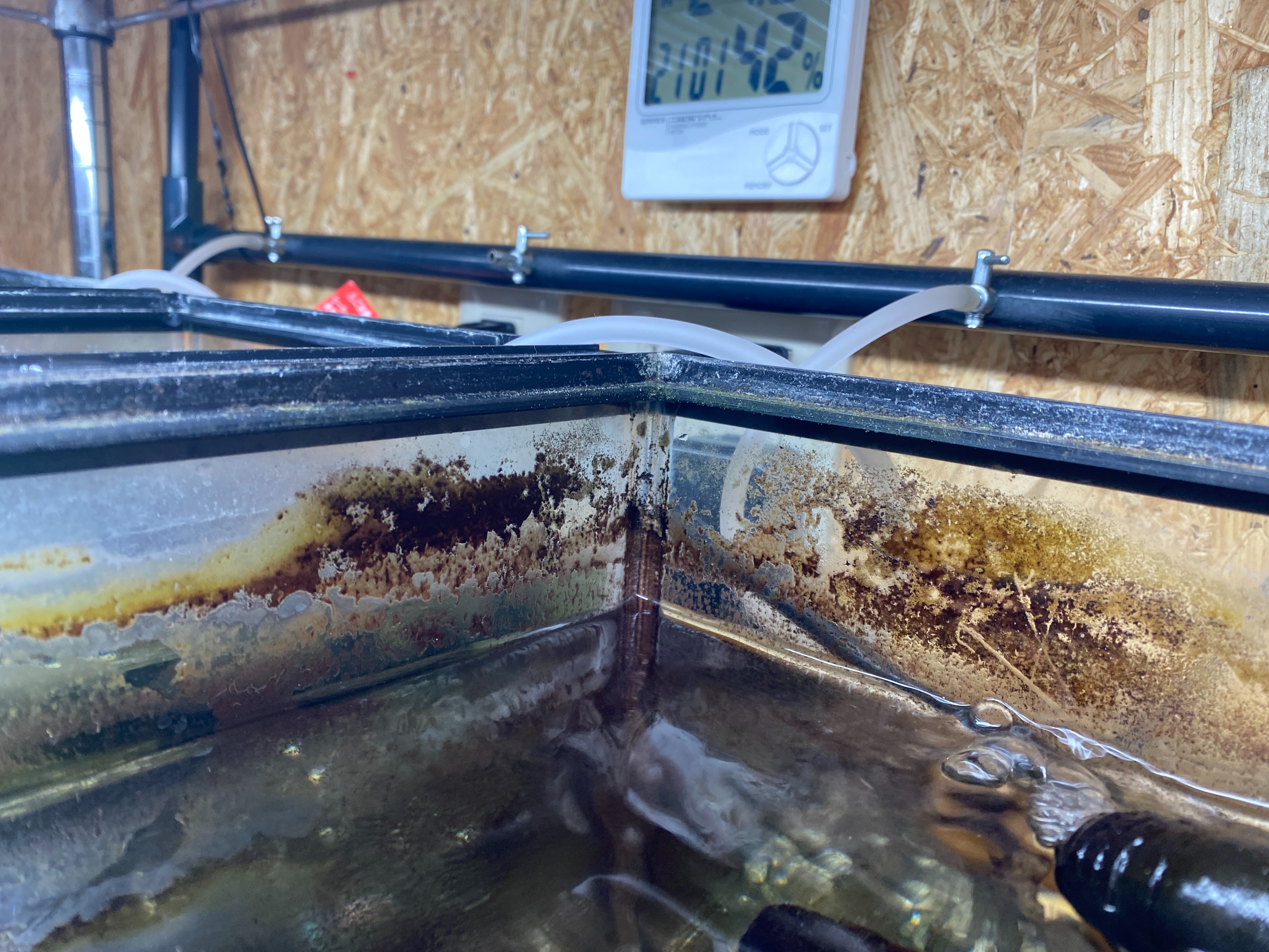 f:id:popopoppun:20230505084121j:image