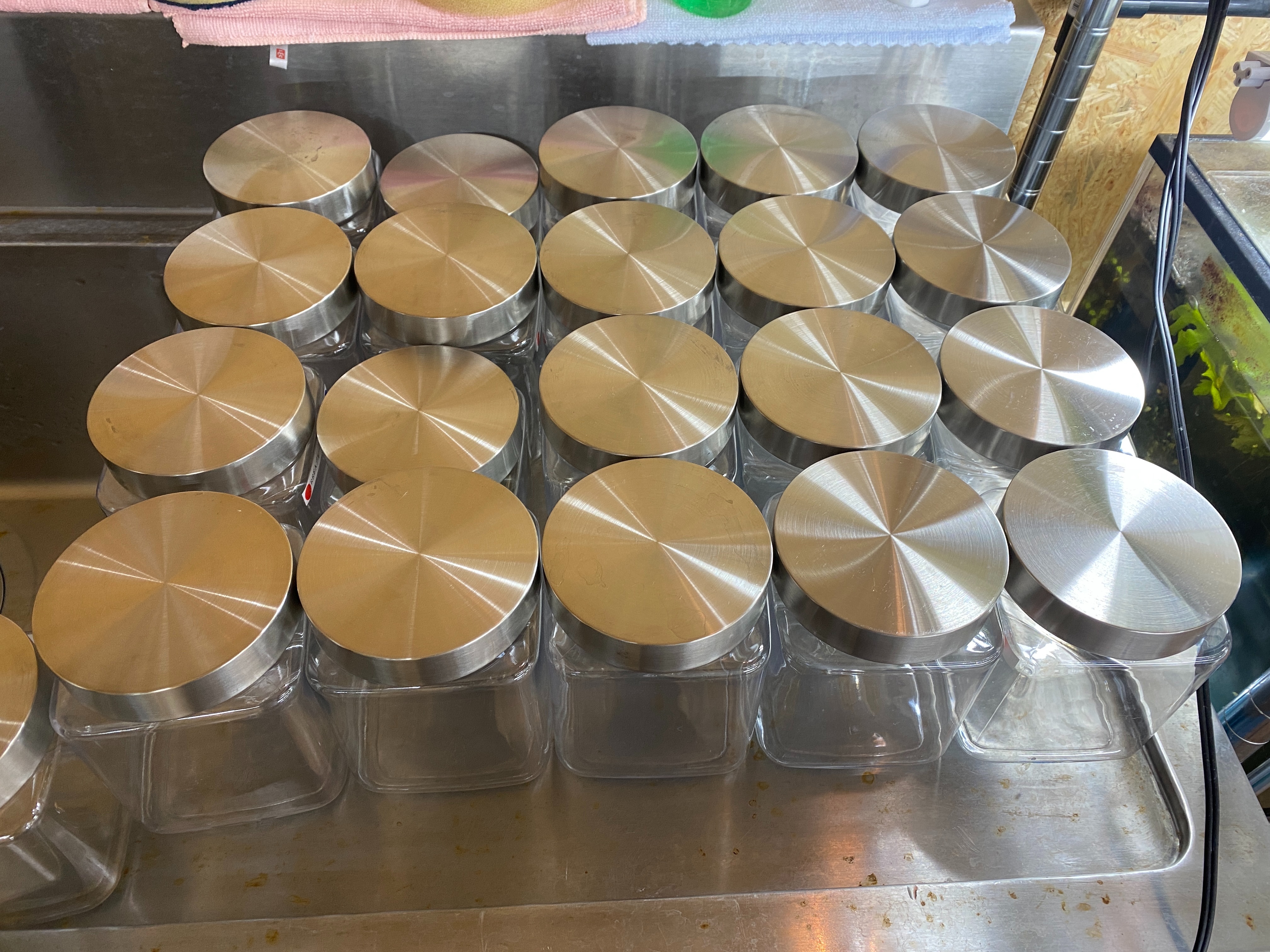 f:id:popopoppun:20230505084135j:image