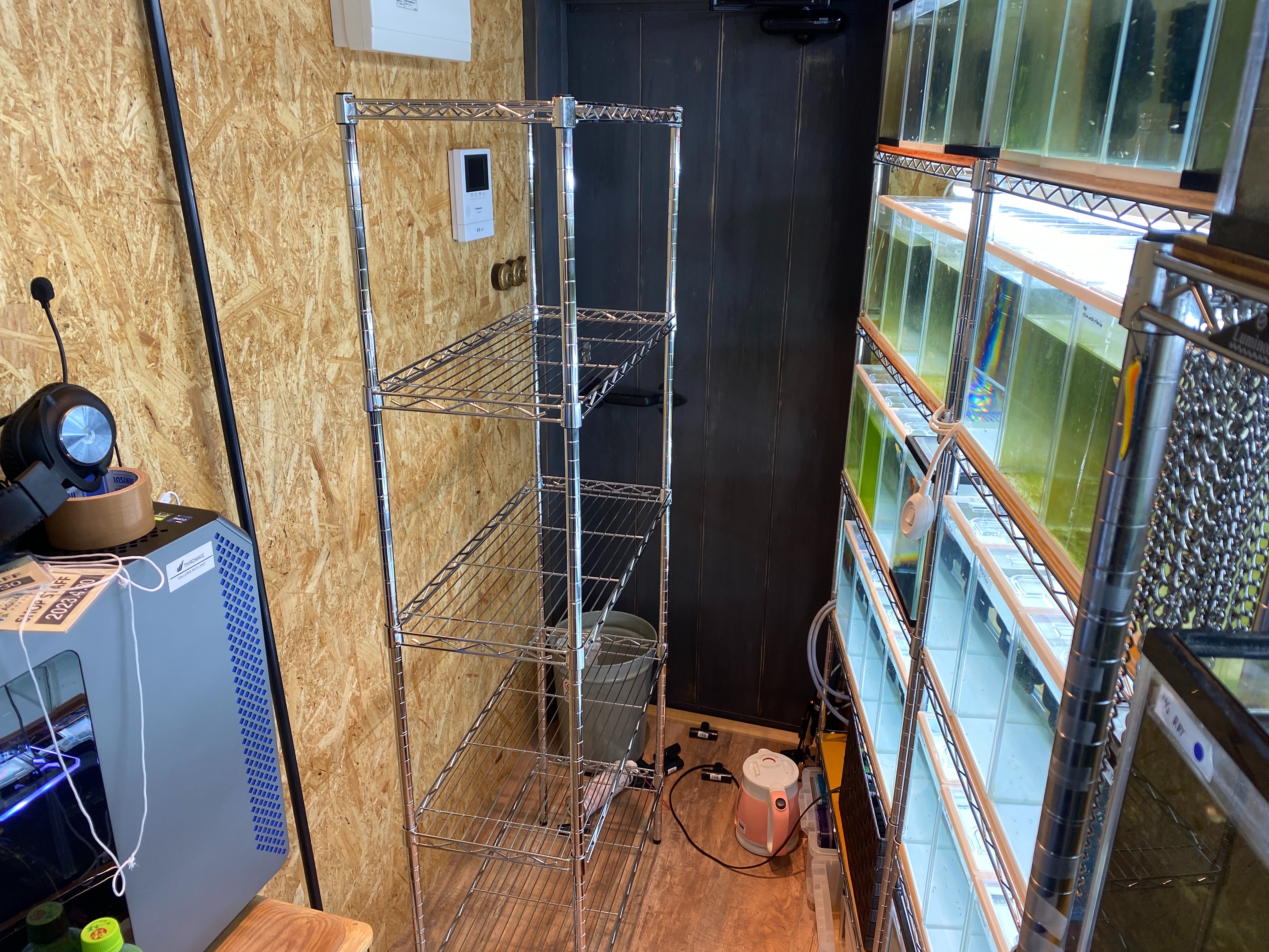 f:id:popopoppun:20230505084205j:image