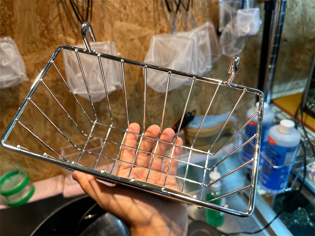 f:id:popopoppun:20230914220135j:image