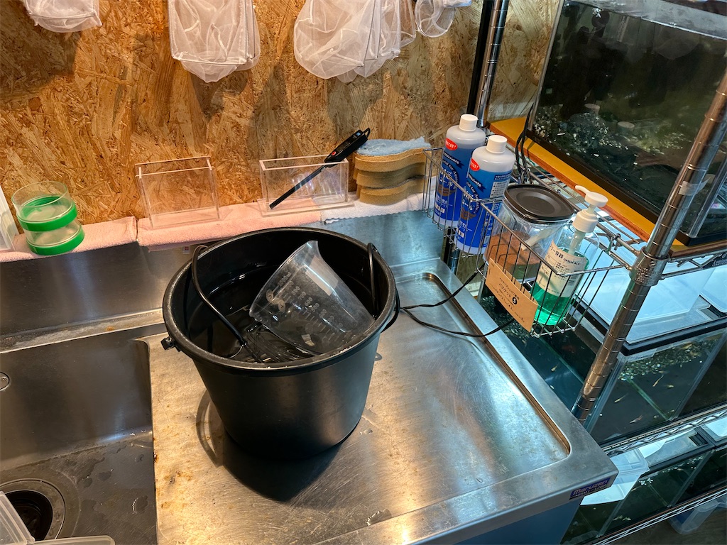 f:id:popopoppun:20230914220142j:image