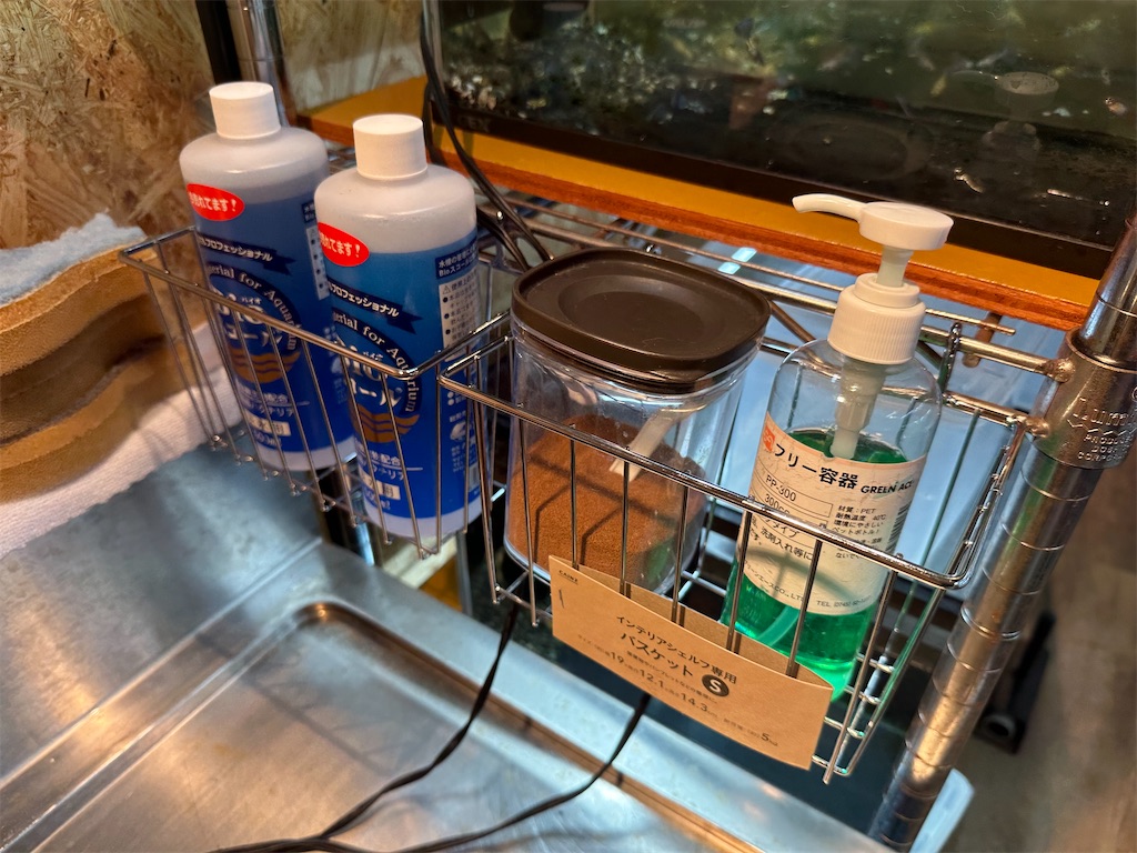 f:id:popopoppun:20230914220146j:image