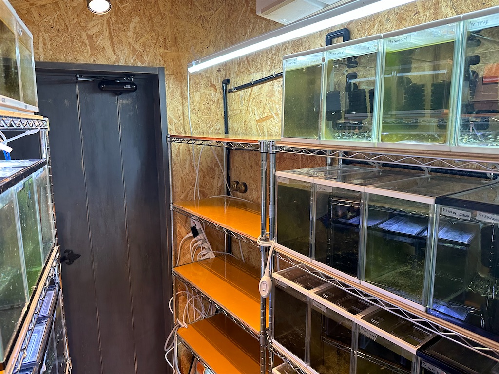 f:id:popopoppun:20231001230046j:image f:id:popopoppun:20231001230046j:image