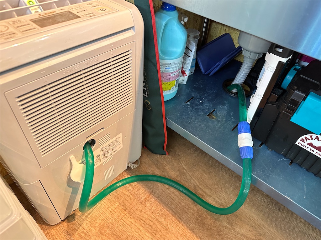 f:id:popopoppun:20231014015722j:image