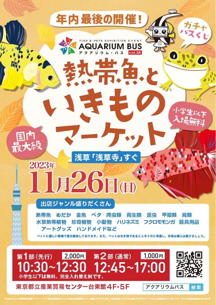 f:id:popopoppun:20231104062243j:image