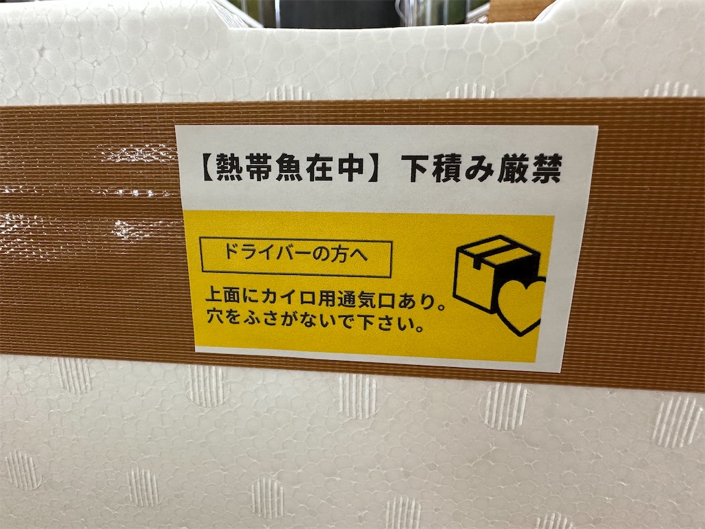 f:id:popopoppun:20231104064516j:image