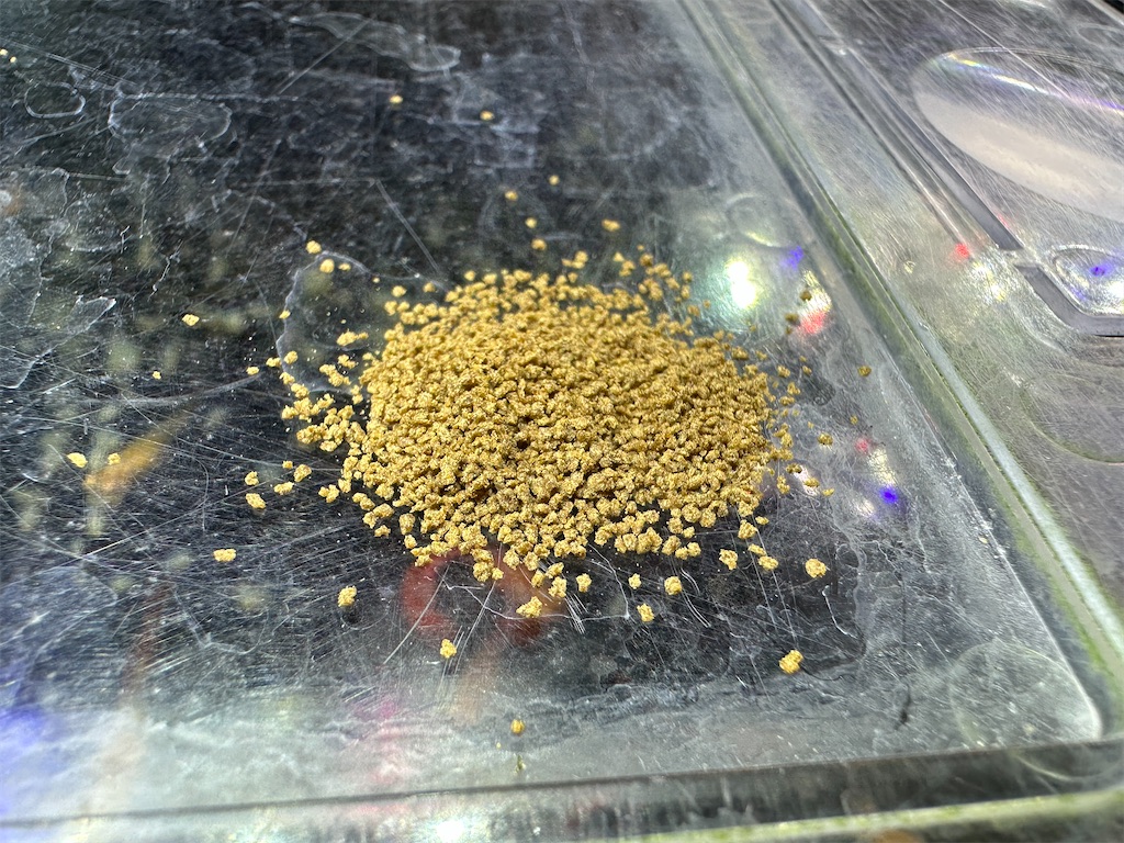 f:id:popopoppun:20240108190044j:image f:id:popopoppun:20240108190044j:image