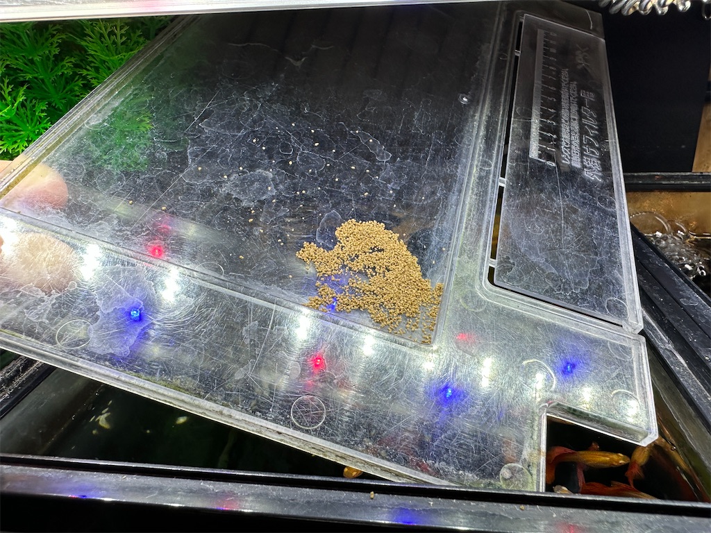 f:id:popopoppun:20240108190854j:image f:id:popopoppun:20240108190854j:image