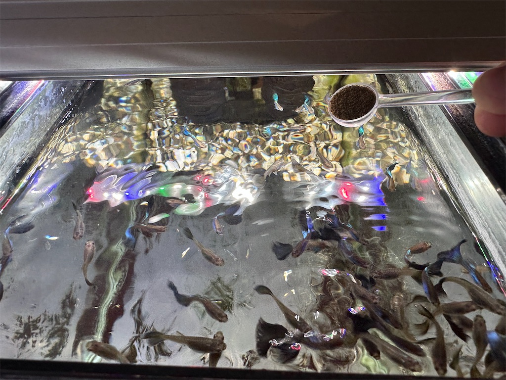 f:id:popopoppun:20240108193610j:image f:id:popopoppun:20240108193610j:image