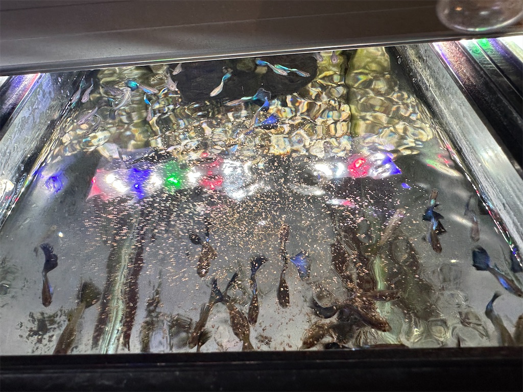 f:id:popopoppun:20240108193613j:image f:id:popopoppun:20240108193613j:image