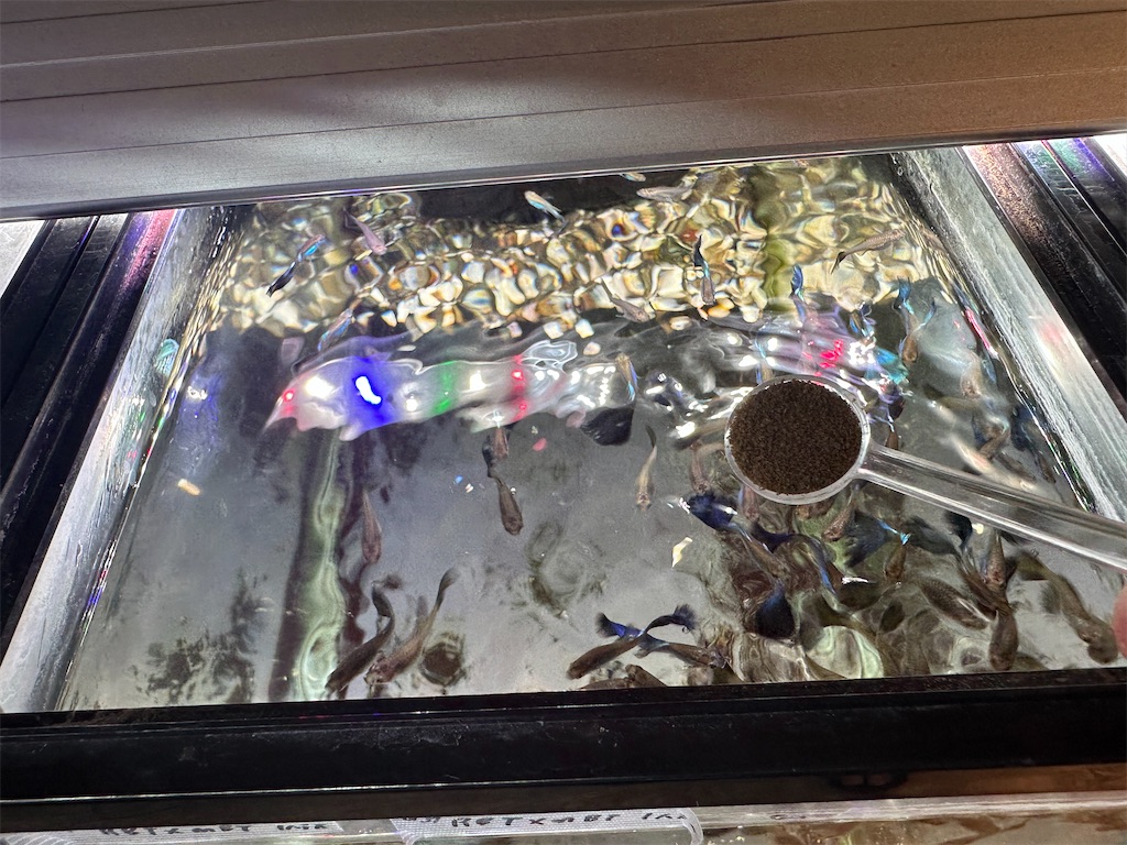 f:id:popopoppun:20240108193616j:image f:id:popopoppun:20240108193616j:image