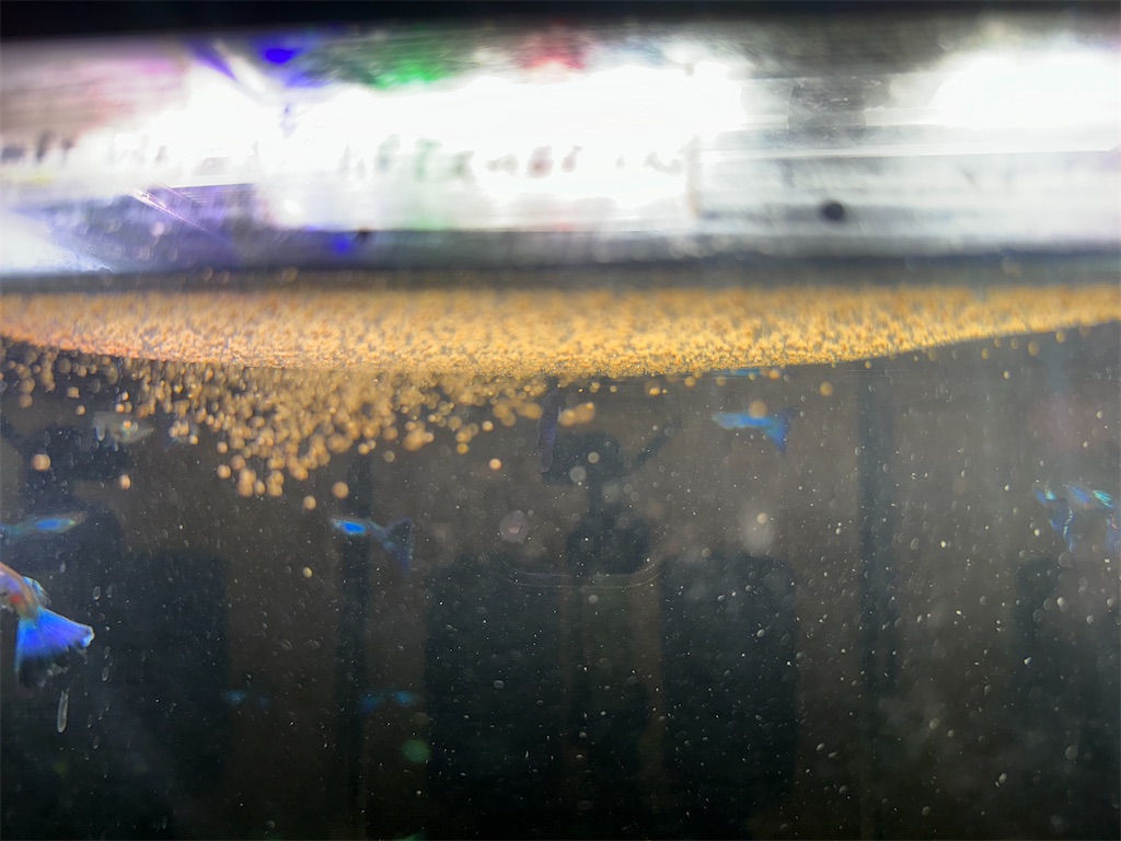 f:id:popopoppun:20240108194401j:image f:id:popopoppun:20240108194401j:image