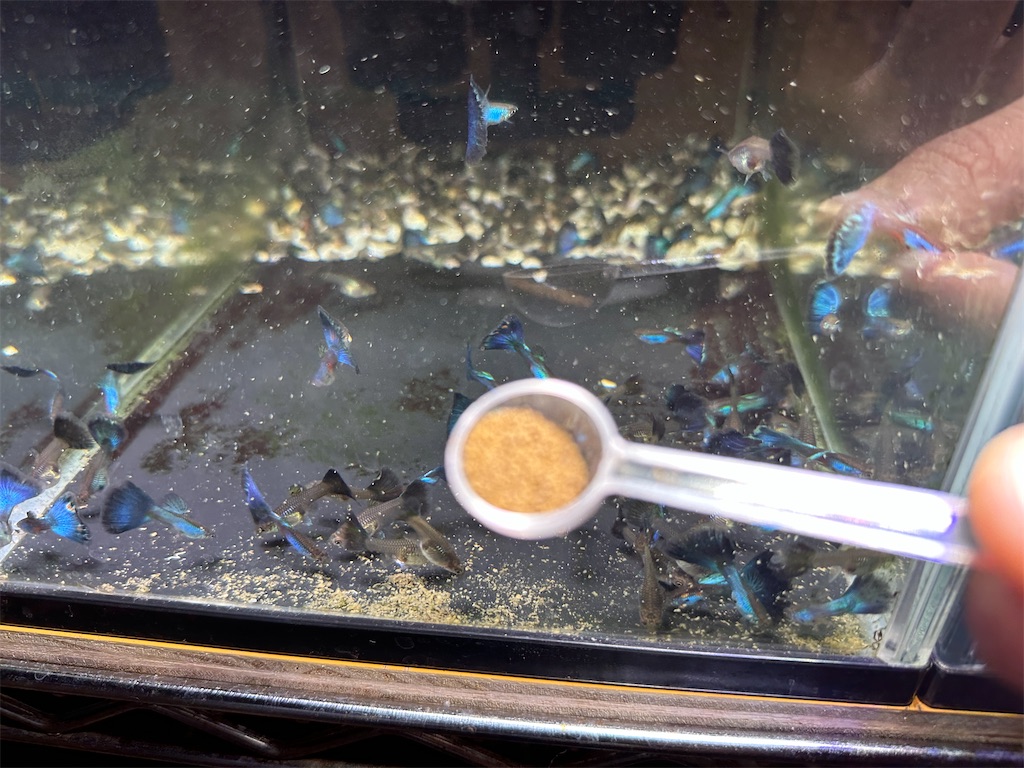 f:id:popopoppun:20240108194404j:image f:id:popopoppun:20240108194404j:image