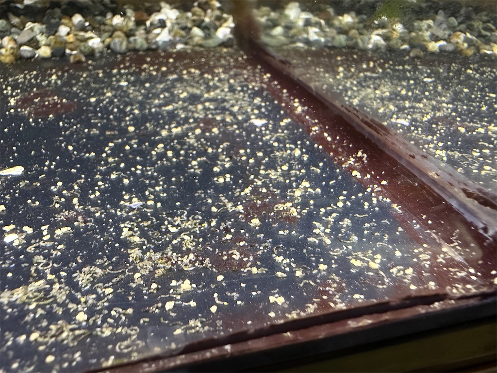 f:id:popopoppun:20240108195603j:image f:id:popopoppun:20240108195603j:image