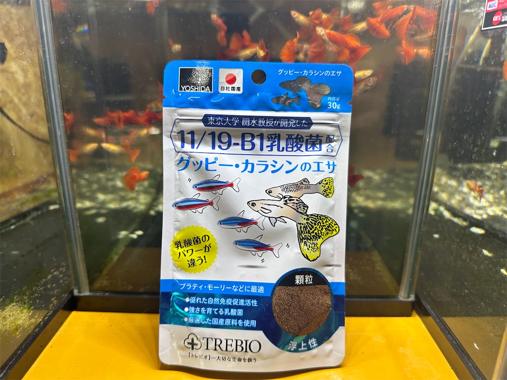 f:id:popopoppun:20240108200548j:image f:id:popopoppun:20240108200548j:image