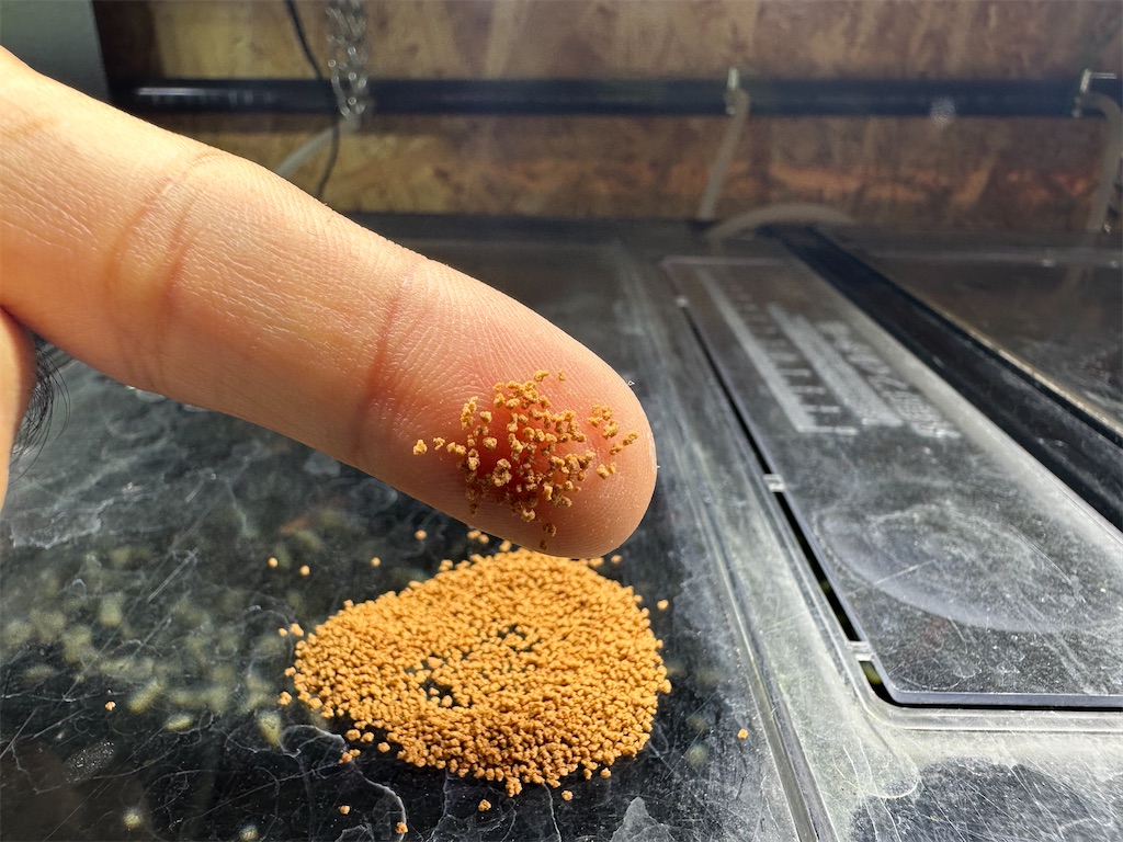 f:id:popopoppun:20240114165154j:image