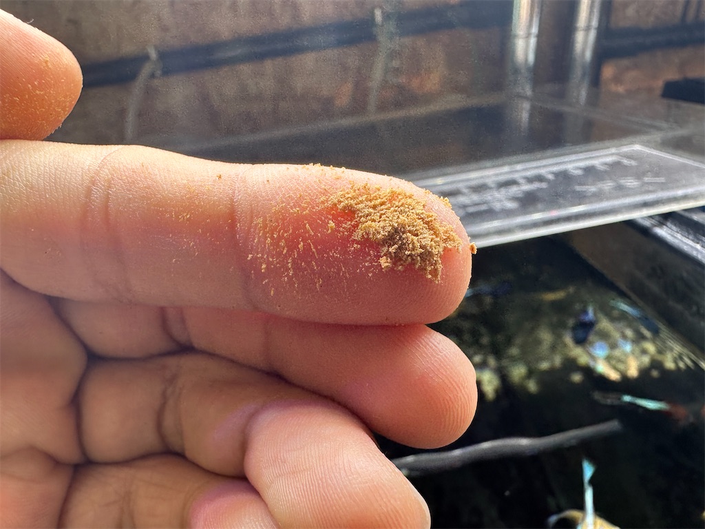 f:id:popopoppun:20240114165218j:image