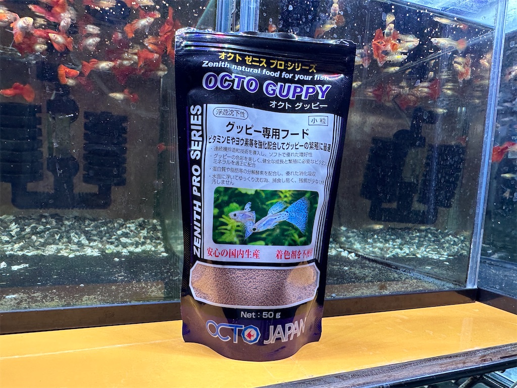 f:id:popopoppun:20240114170244j:image