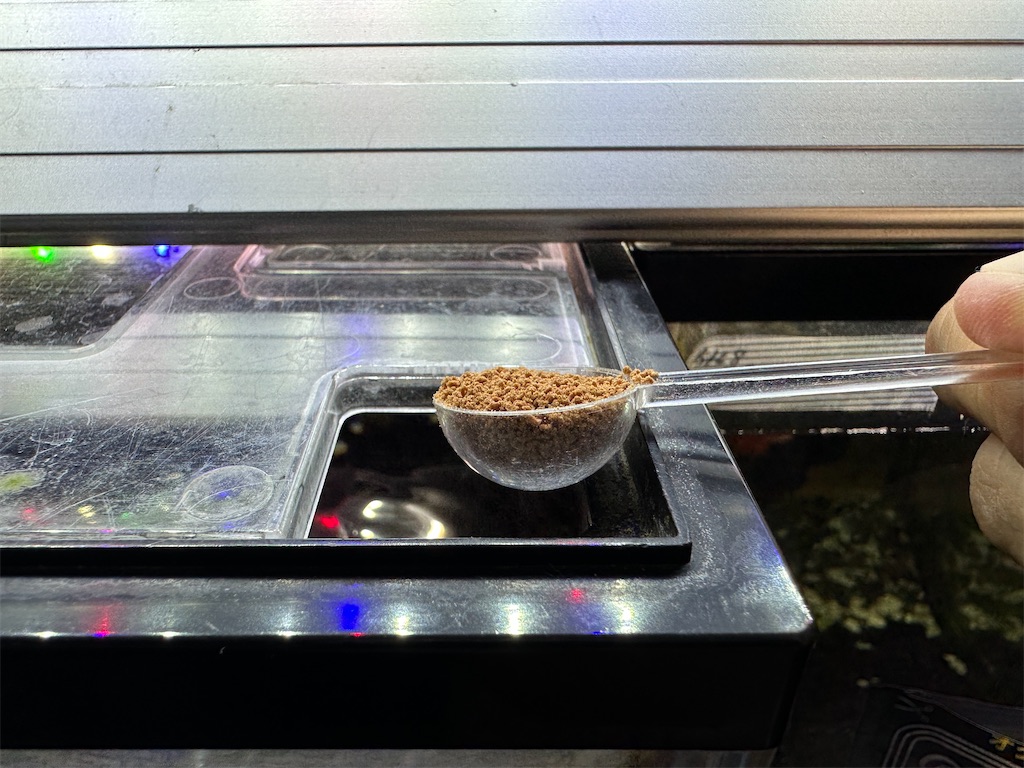 f:id:popopoppun:20240114172303j:image