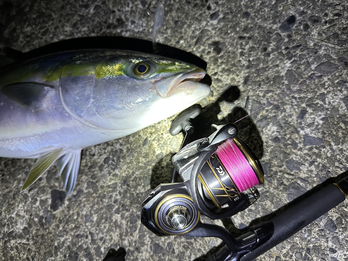 ダイワ21カルディアLT】合計3台を3年間使い込んだインプレと個人的評価