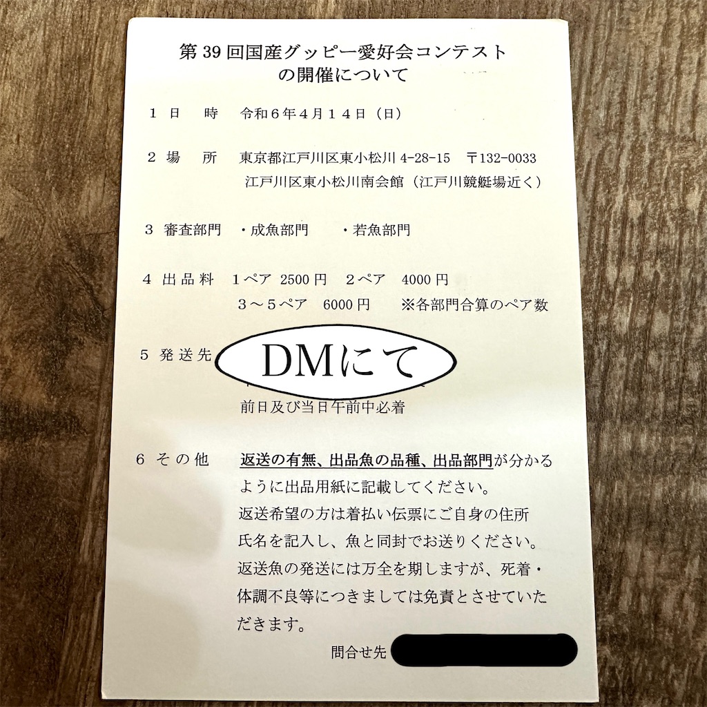 f:id:popopoppun:20240410095940j:image