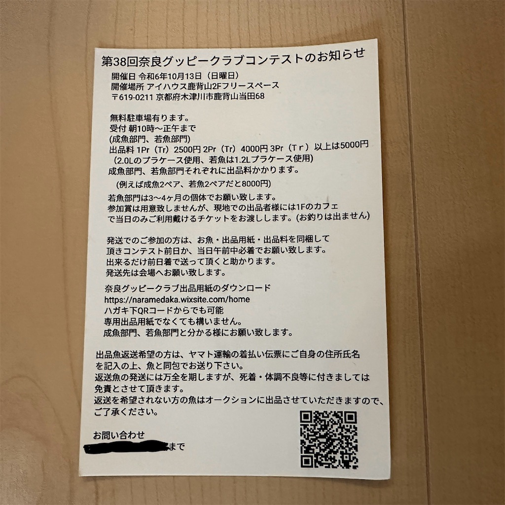 f:id:popopoppun:20241002125932j:image