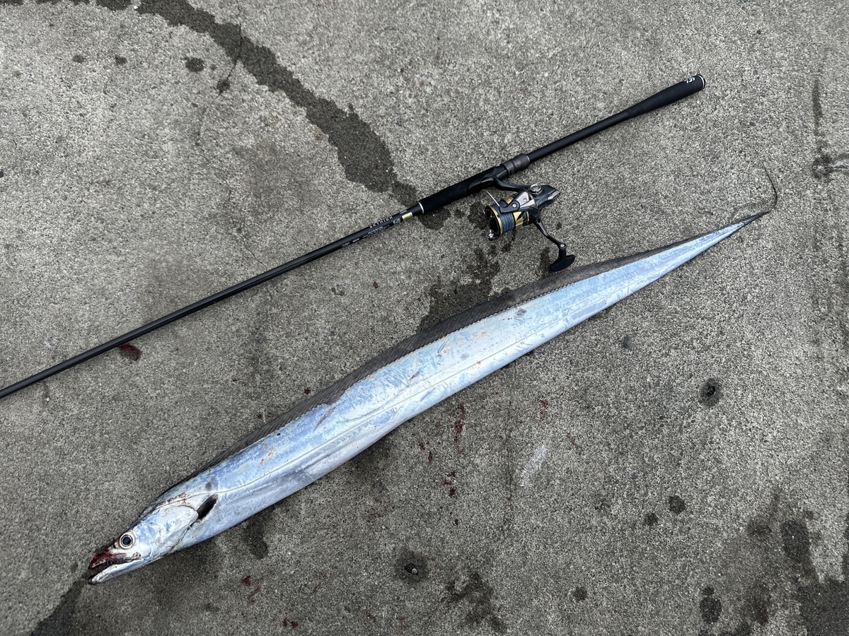 ダイワ25スカイハイ】実釣インプレ！マルチに使い込んだ感想と本音