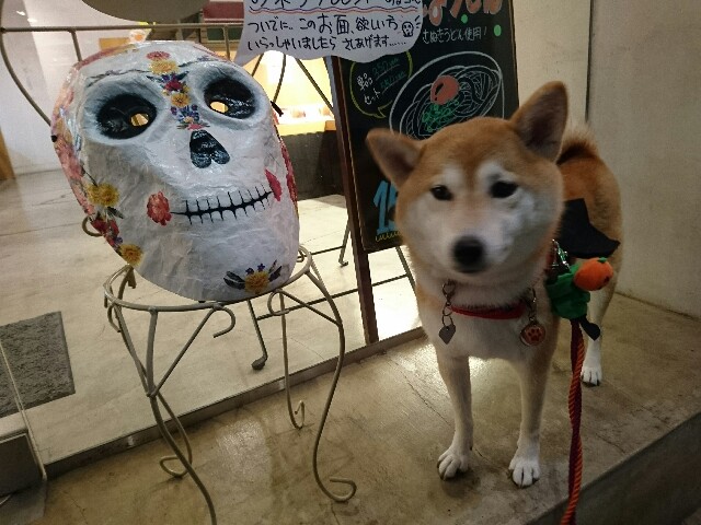 f:id:poporigoto:20161101195552j:image f:id:poporigoto:20161101195552j:image