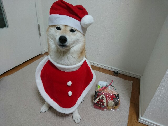 f:id:poporigoto:20171224222842j:image f:id:poporigoto:20171224222842j:image