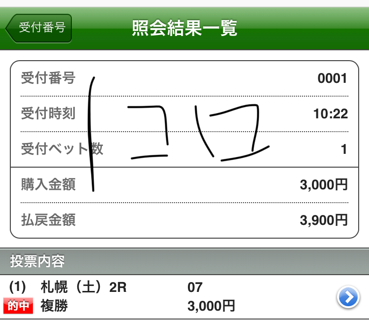競馬ブックweb 実践型競馬の投資日記